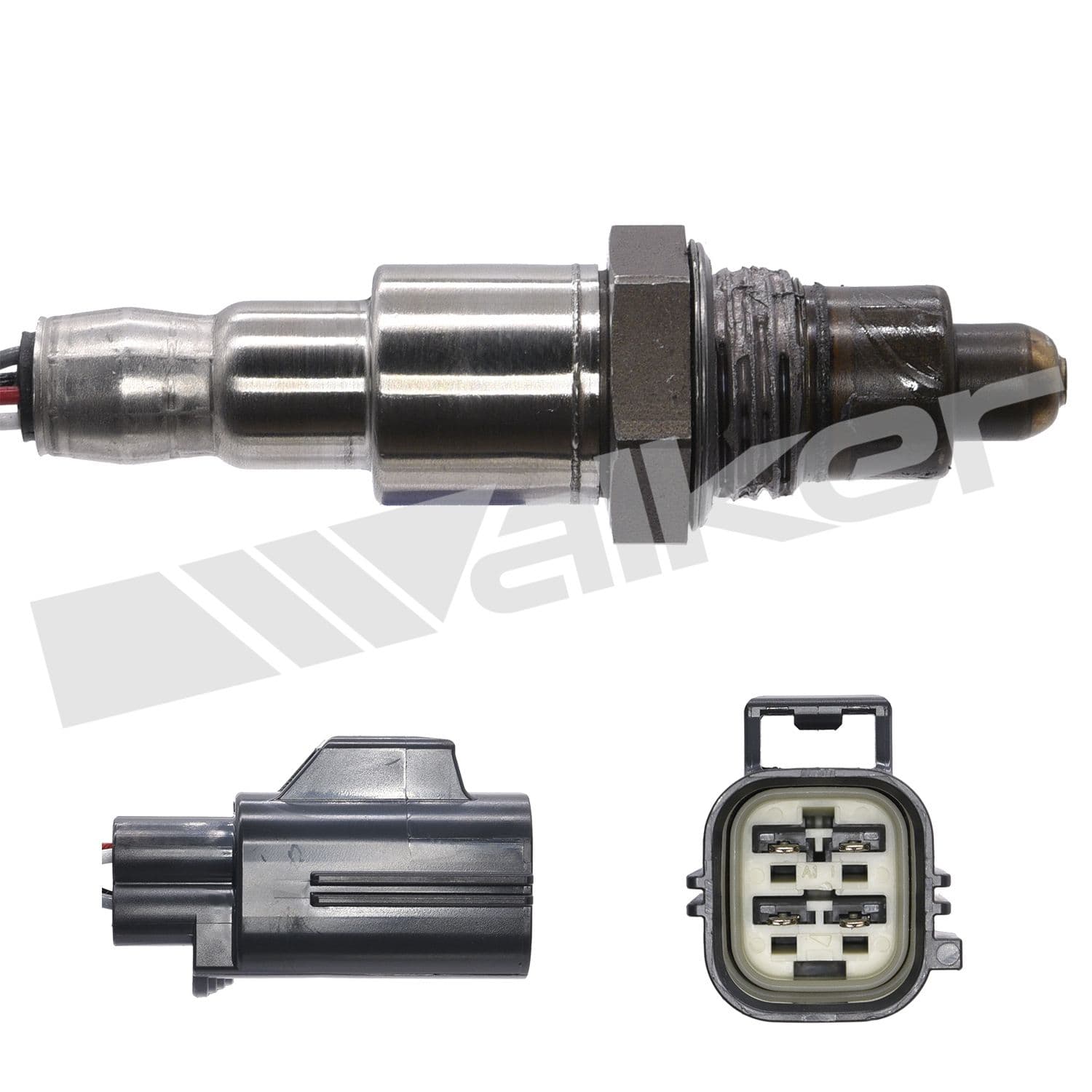 226-250-241230 - Image 3