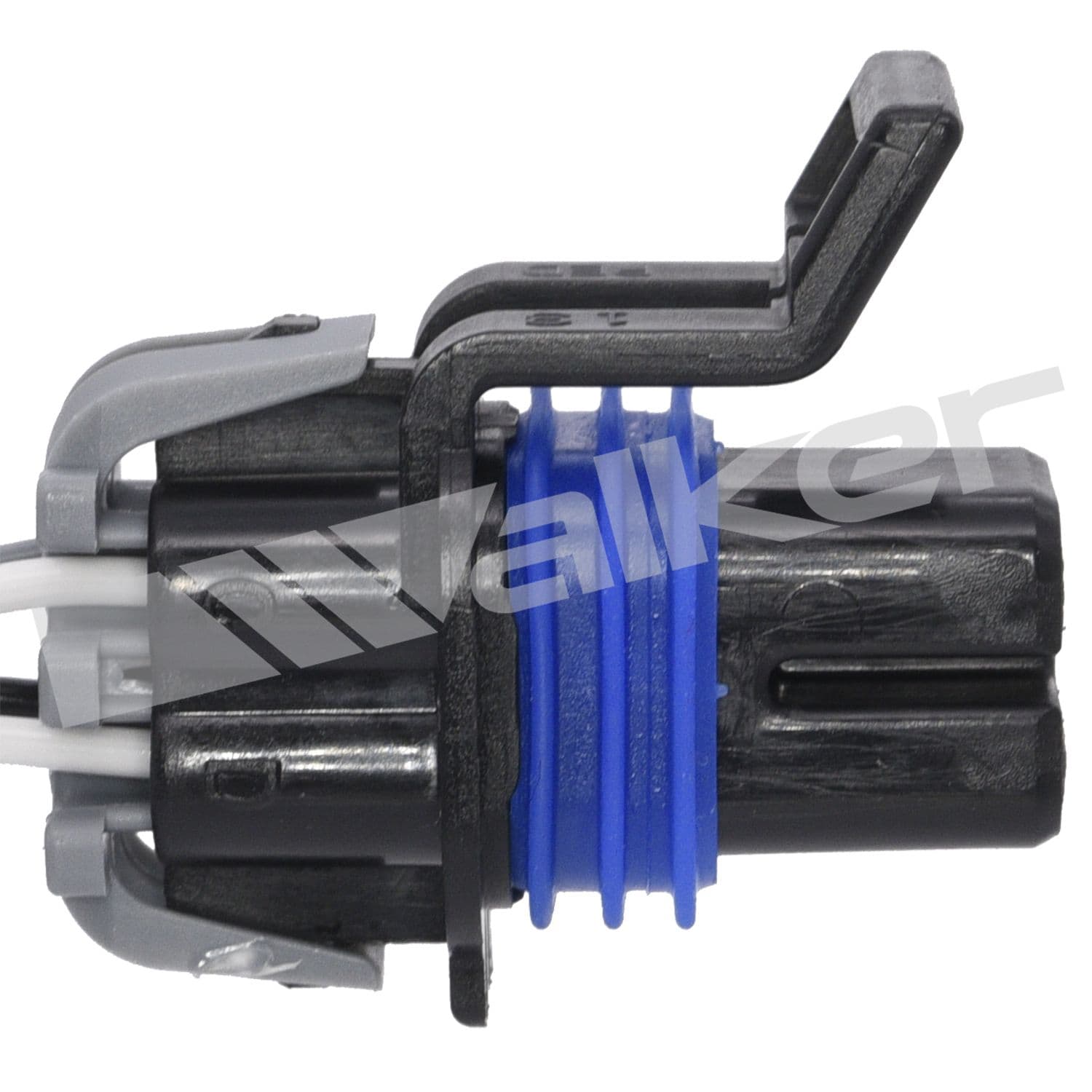 226-250-24339 - Image 2