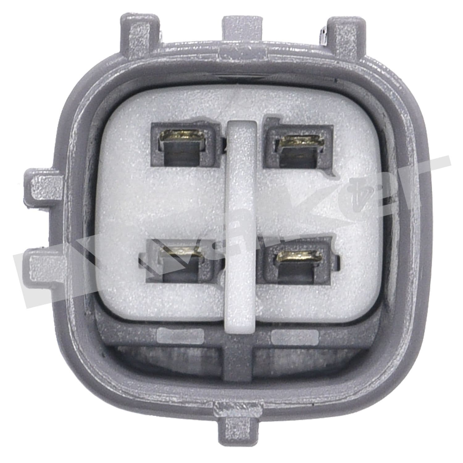 226-350-64081 - Image 2