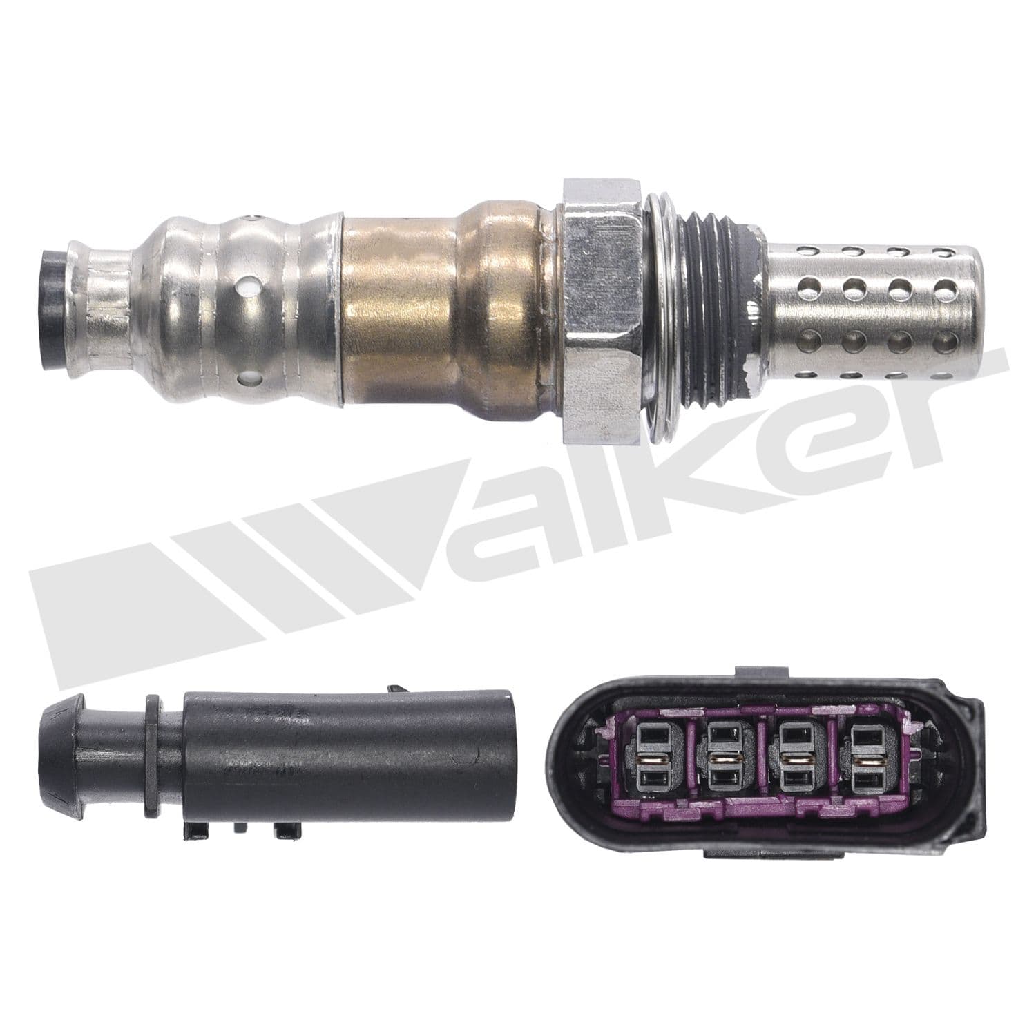 226-250-24843 - Image 4