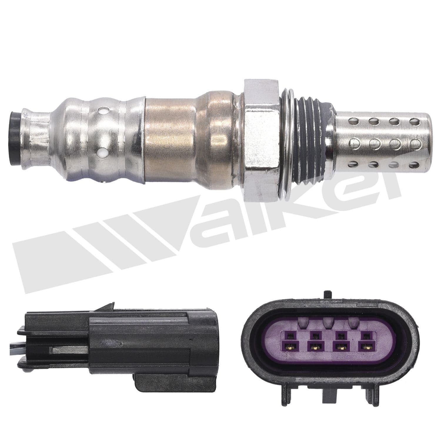 226-250-24707 - Image 2