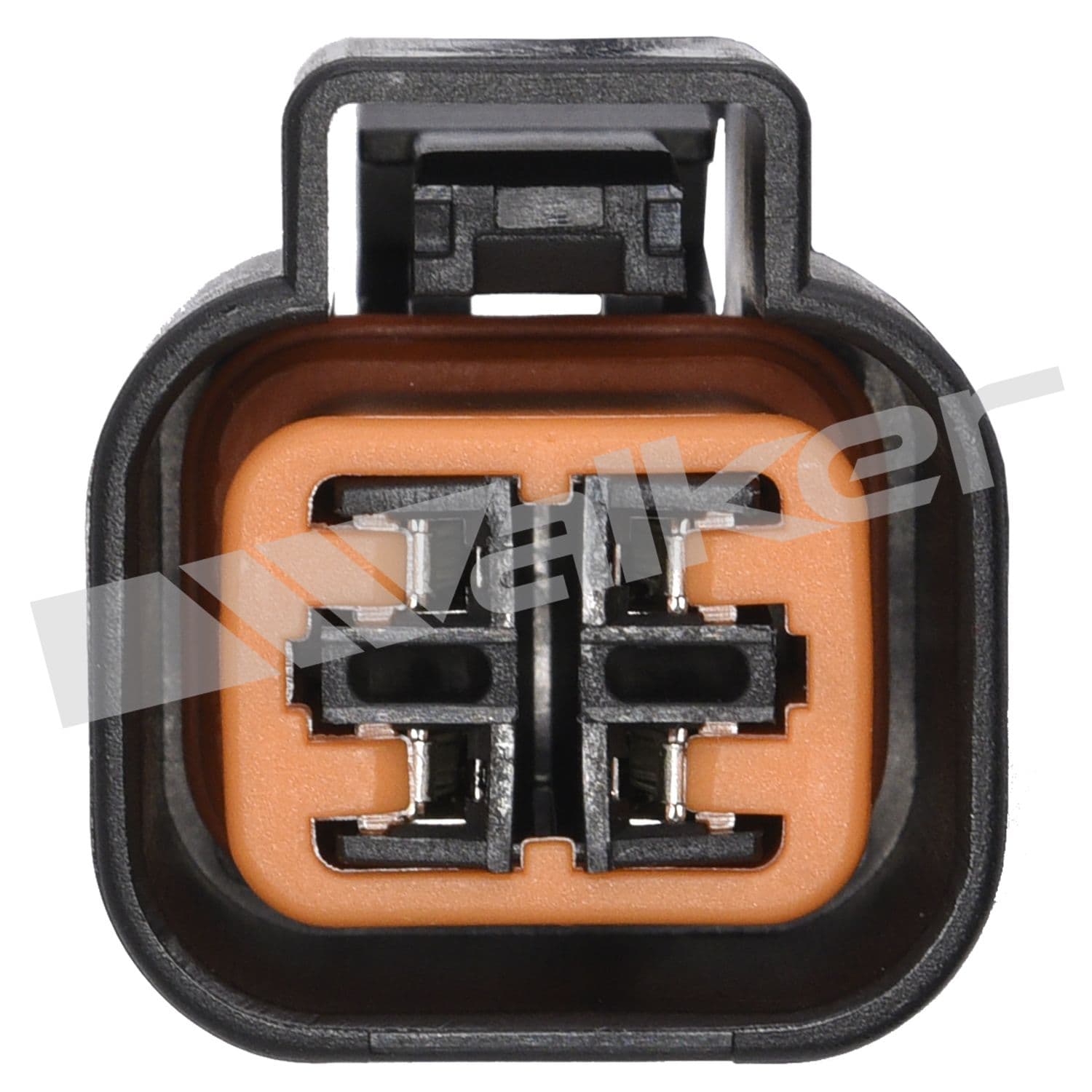 226-250-24349 - Image 2