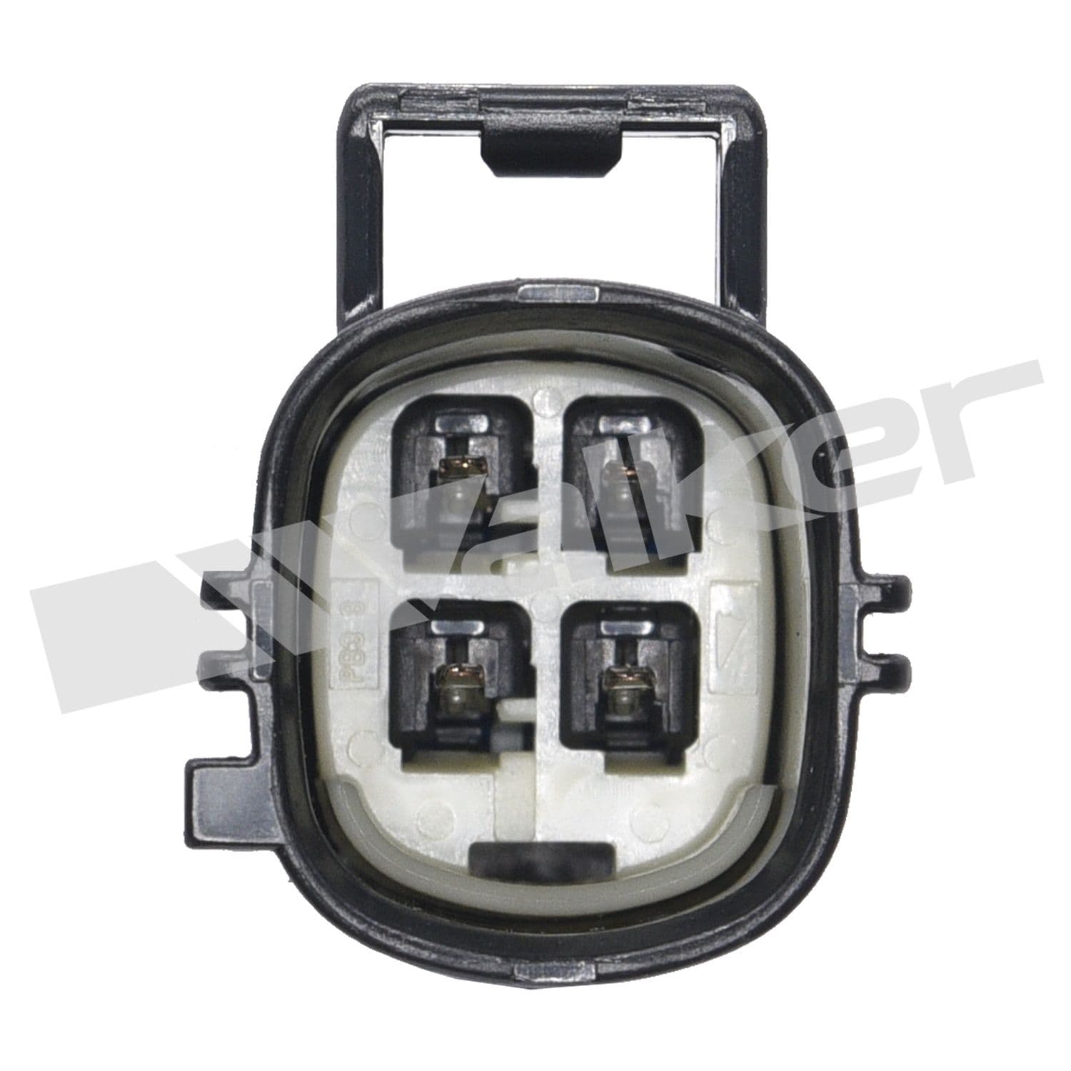 226-250-24873 - Image 3