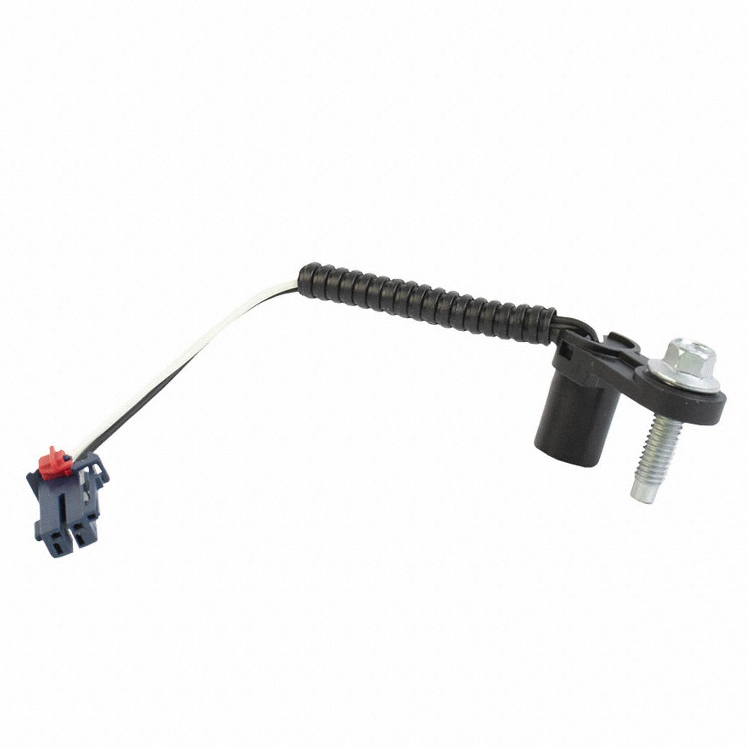 317-DY-1509 - Image 2