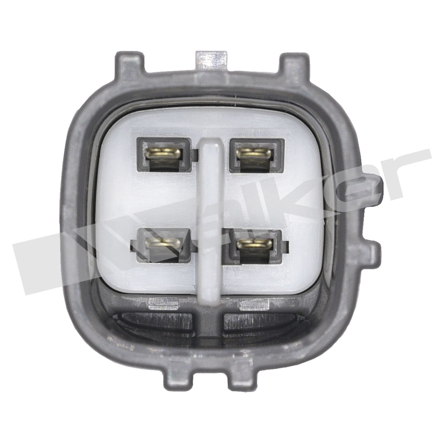 226-350-34308 - Image 3