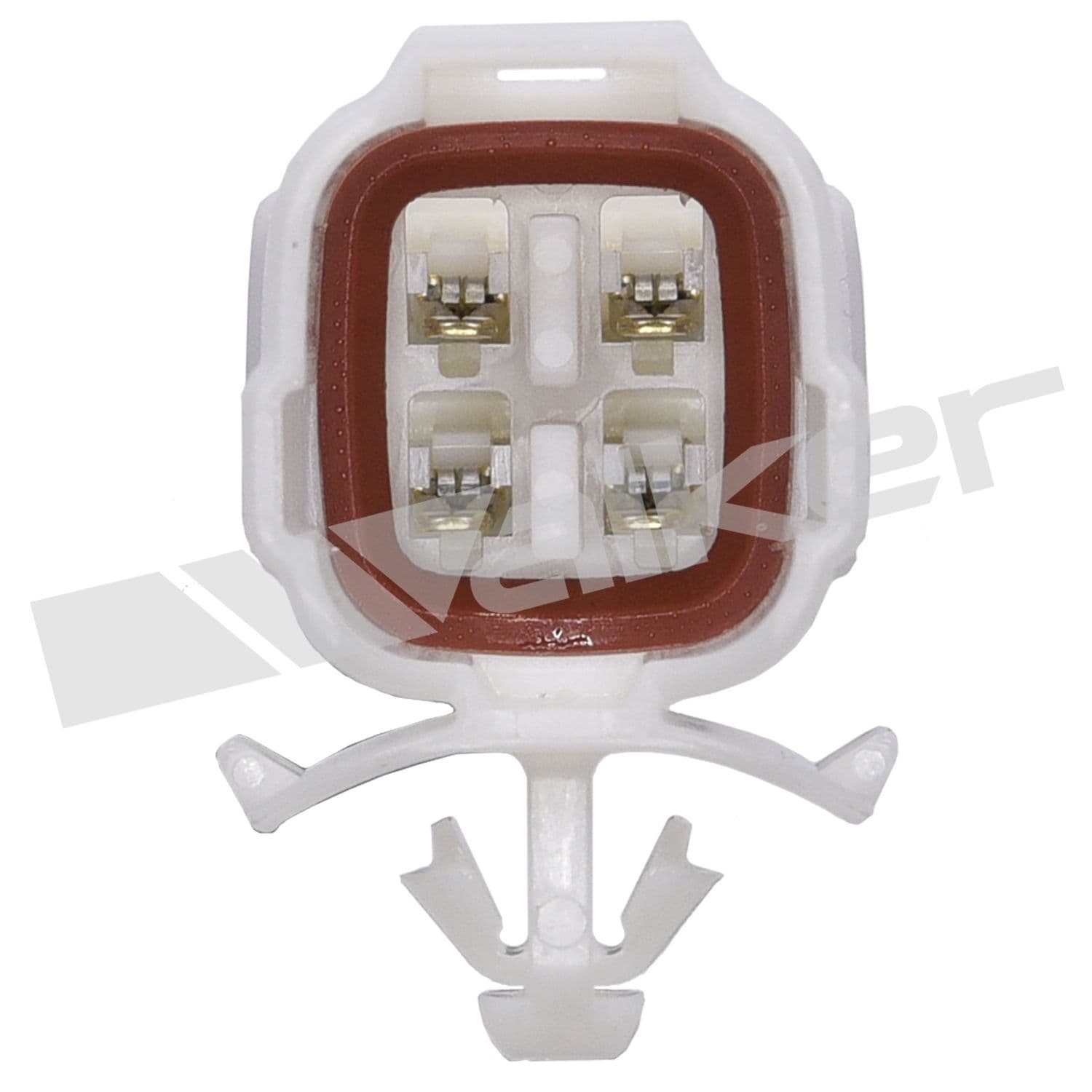 226-250-24770 - Image 4