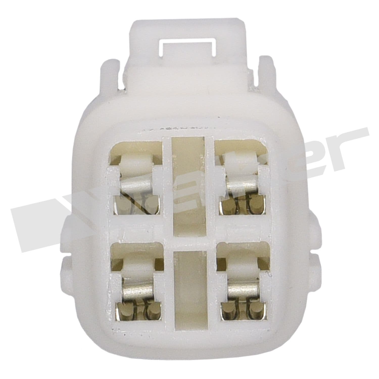 226-250-24373 - Image 3