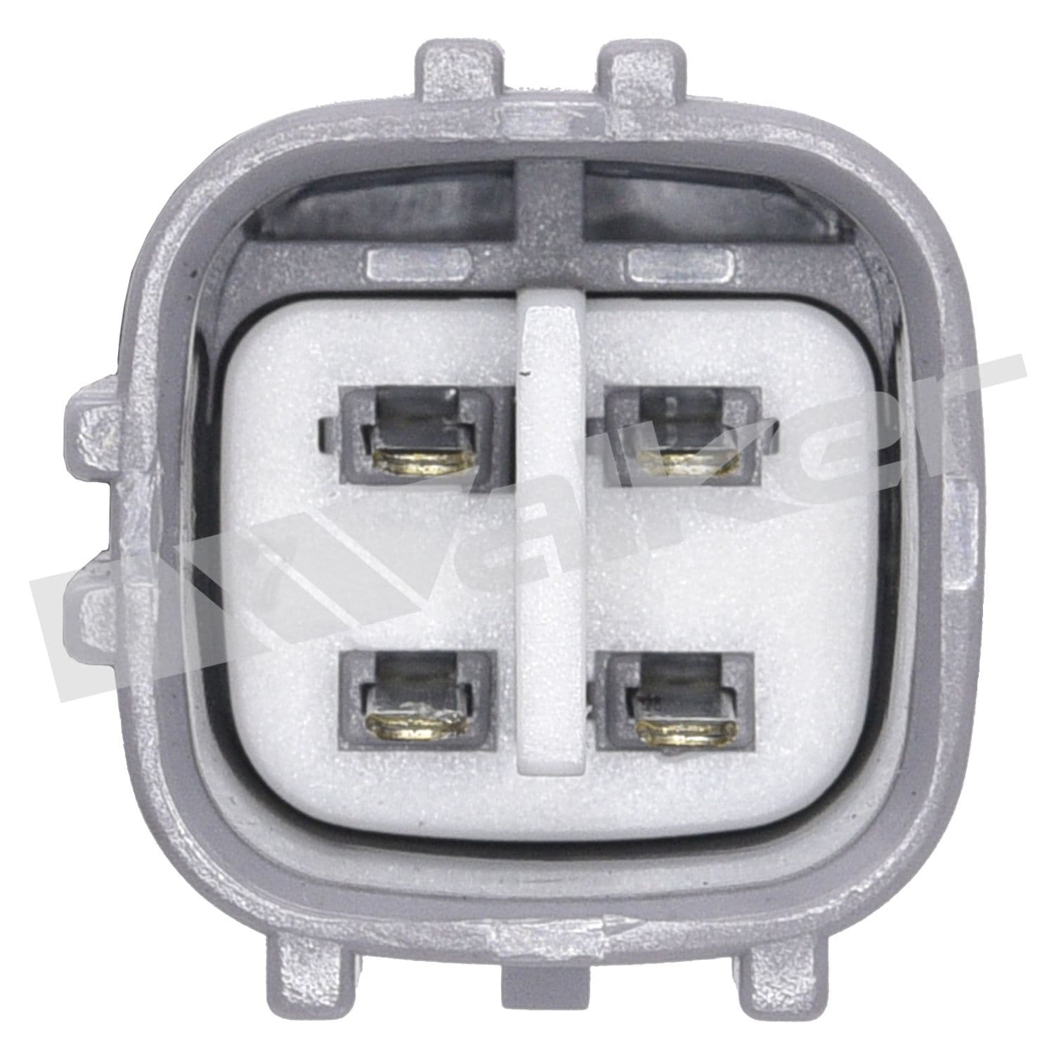 226-250-24154 - Image 3