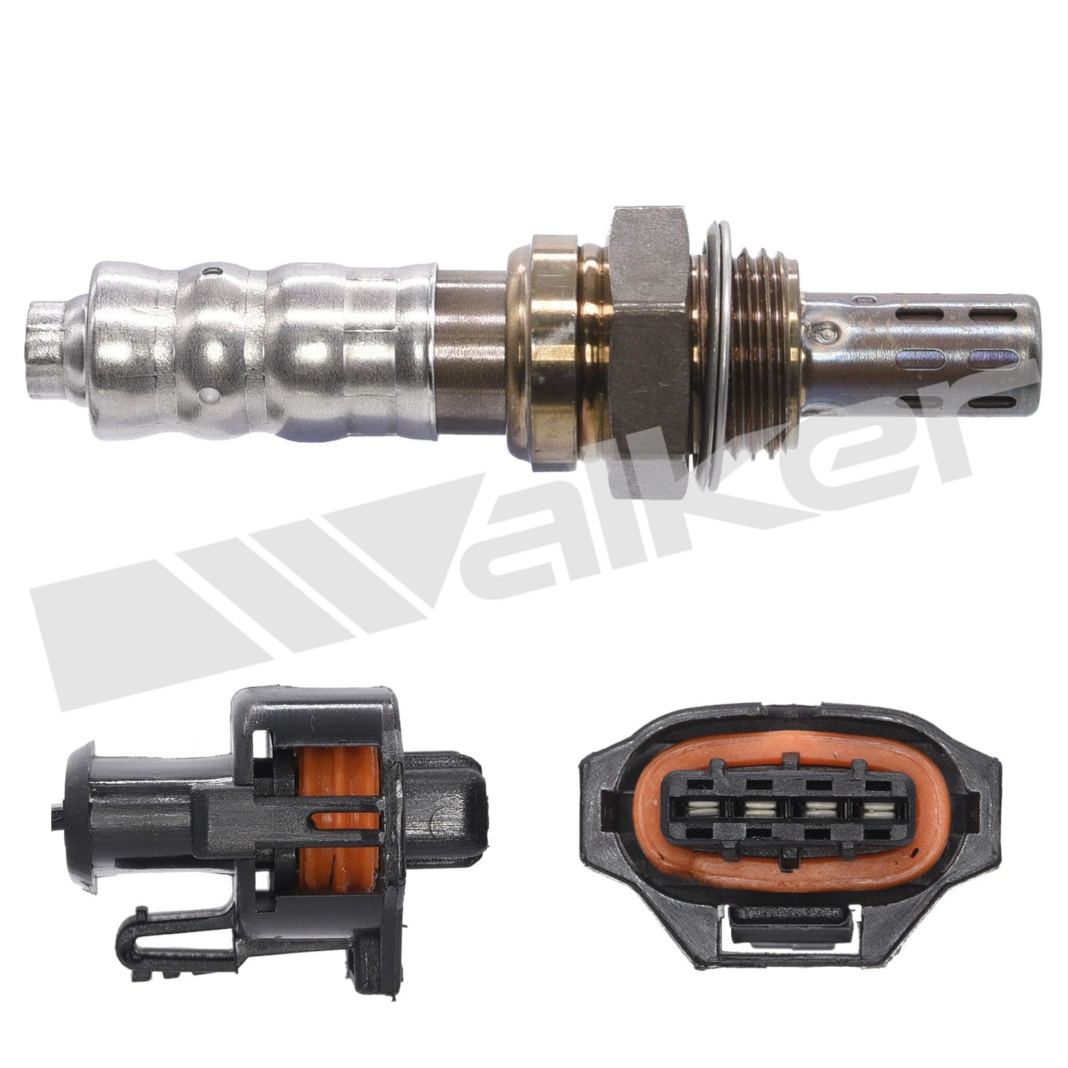 226-250-24647 - Image 4