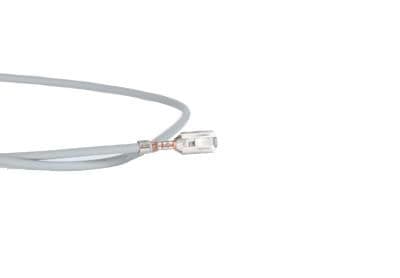 4-12112425 - Image 1