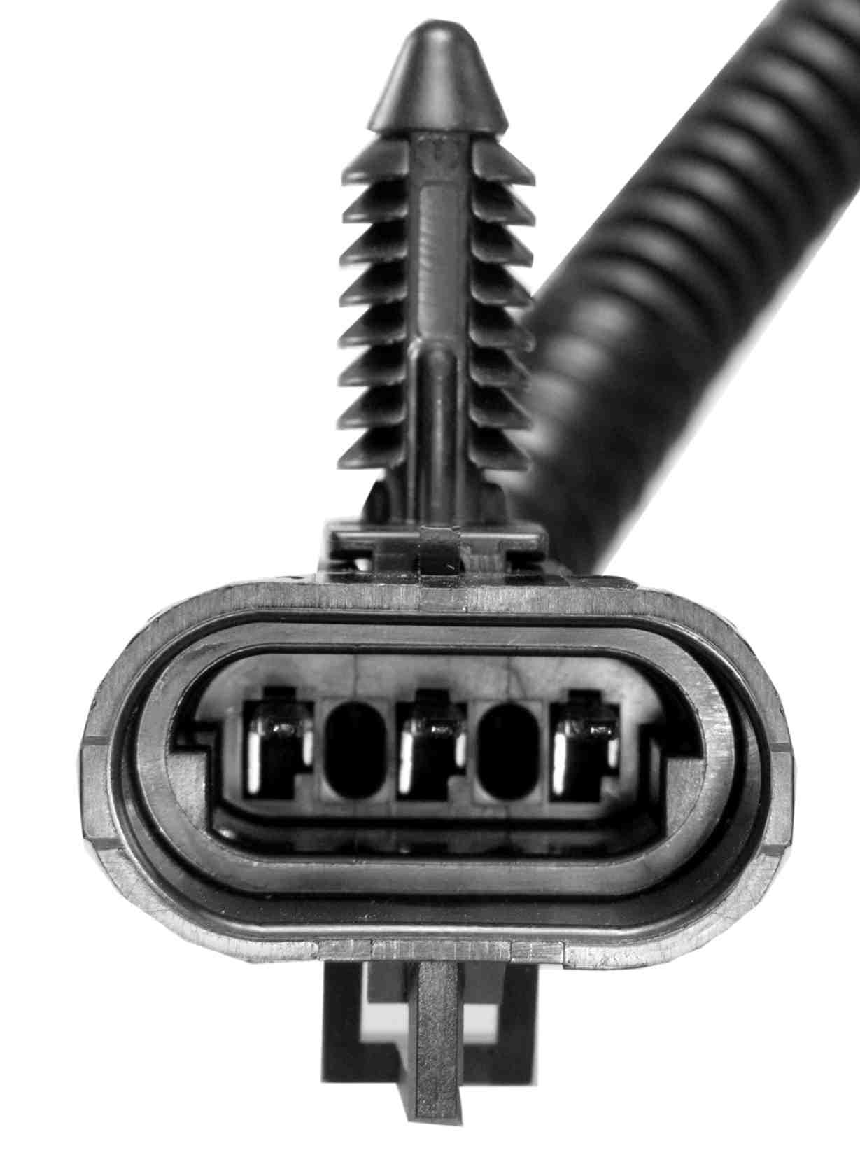 428-HA0025 - Image 4