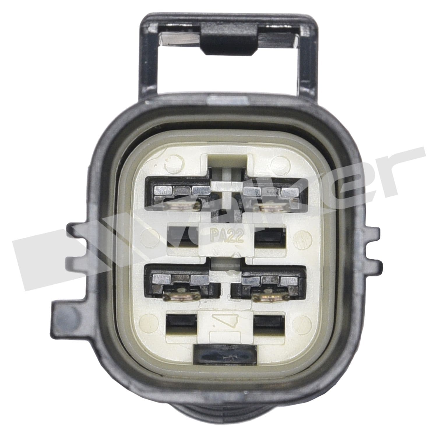 226-250-54009 - Image 2