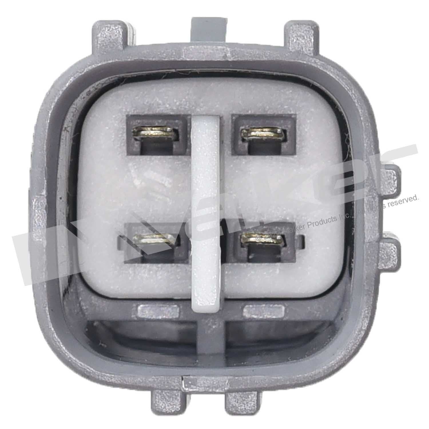 226-350-341118 - Image 2