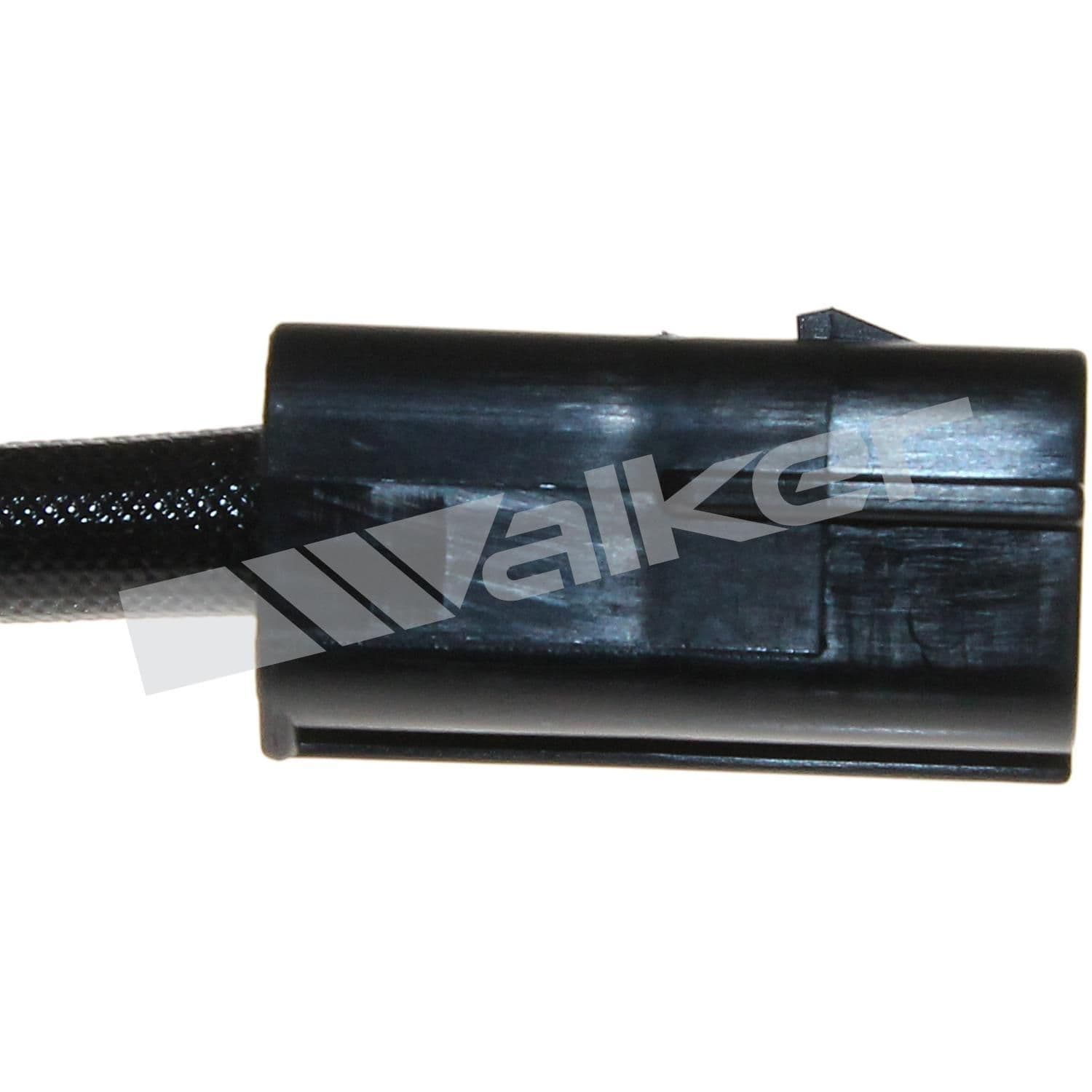 226-250-24768 - Image 3