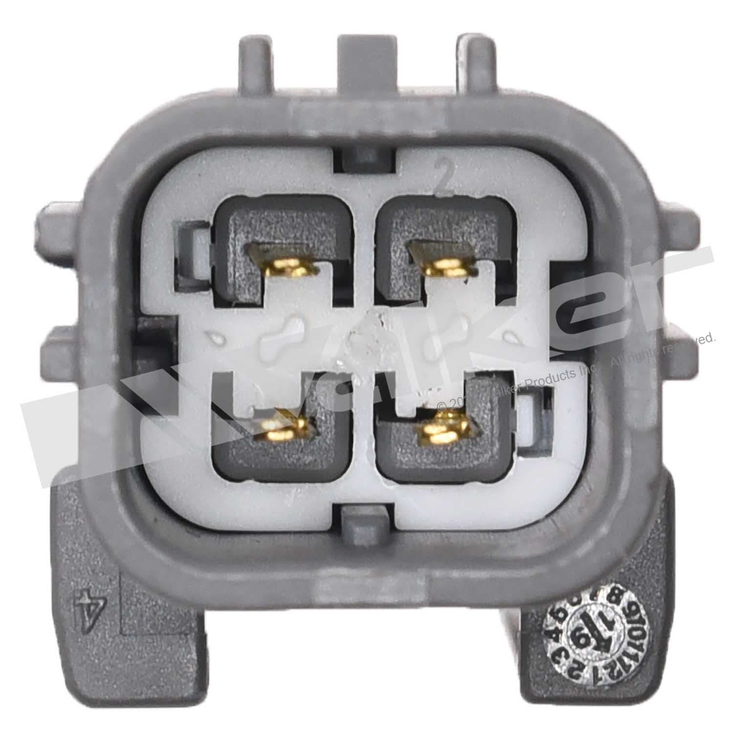 226-250-241308 - Image 3