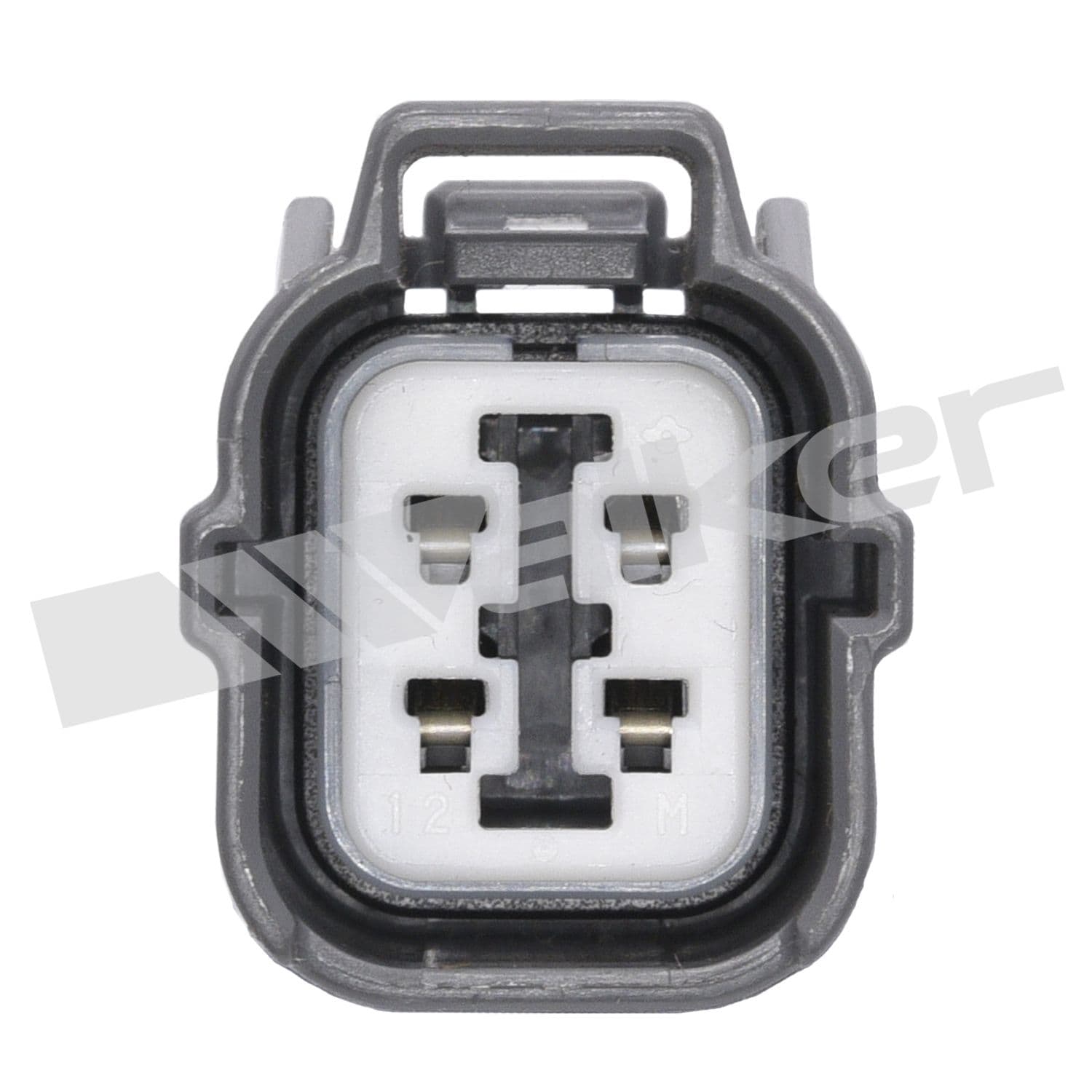 226-250-24664 - Image 4