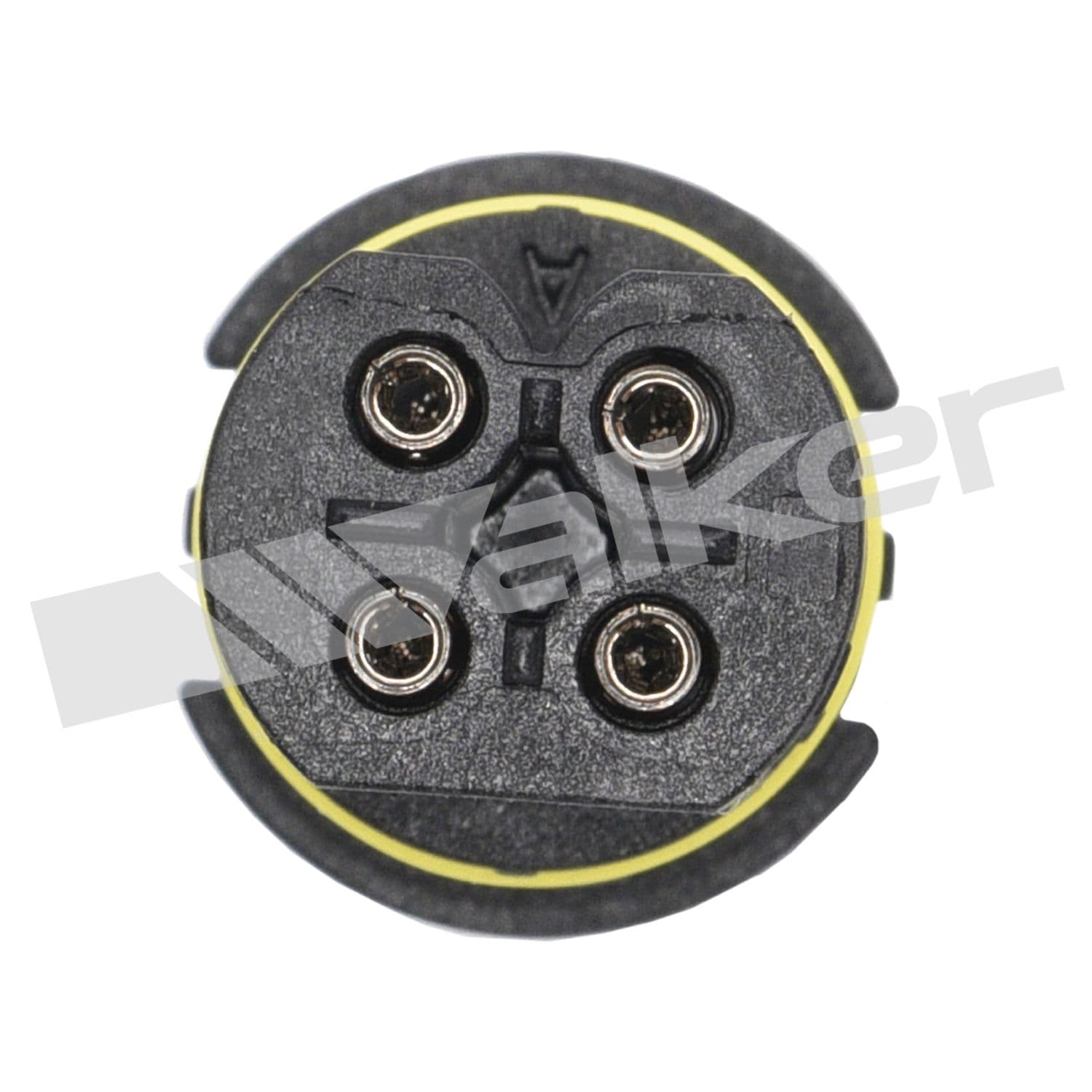 226-250-24469 - Image 2