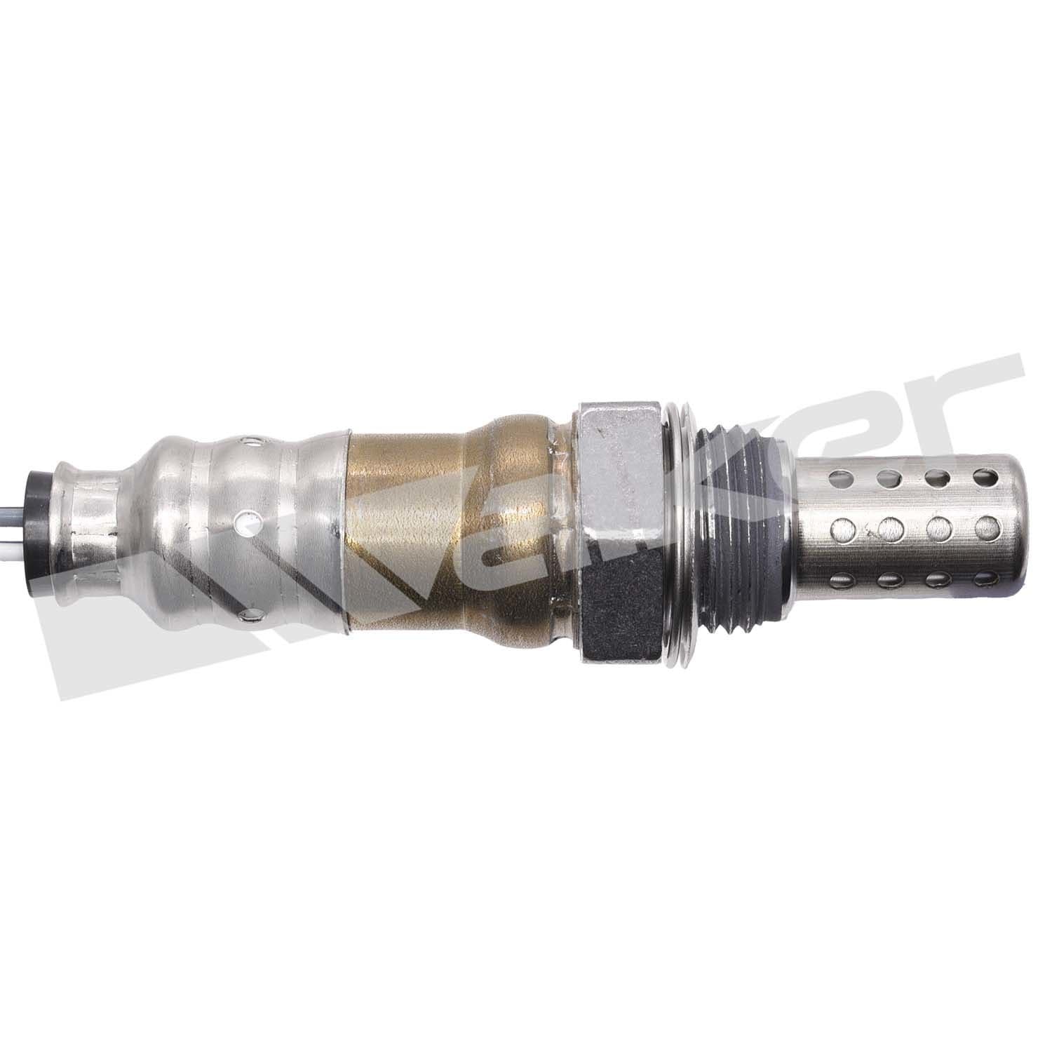 226-250-241298 - Image 3