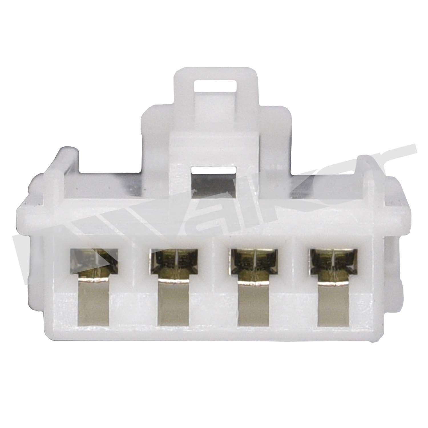 226-250-24231 - Image 2