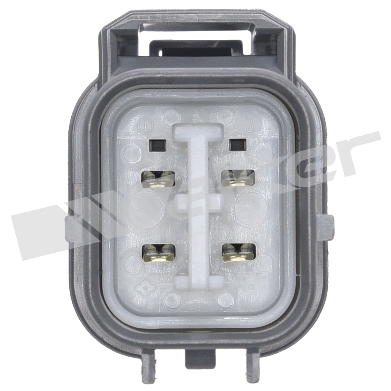 226-250-54083 - Image 2