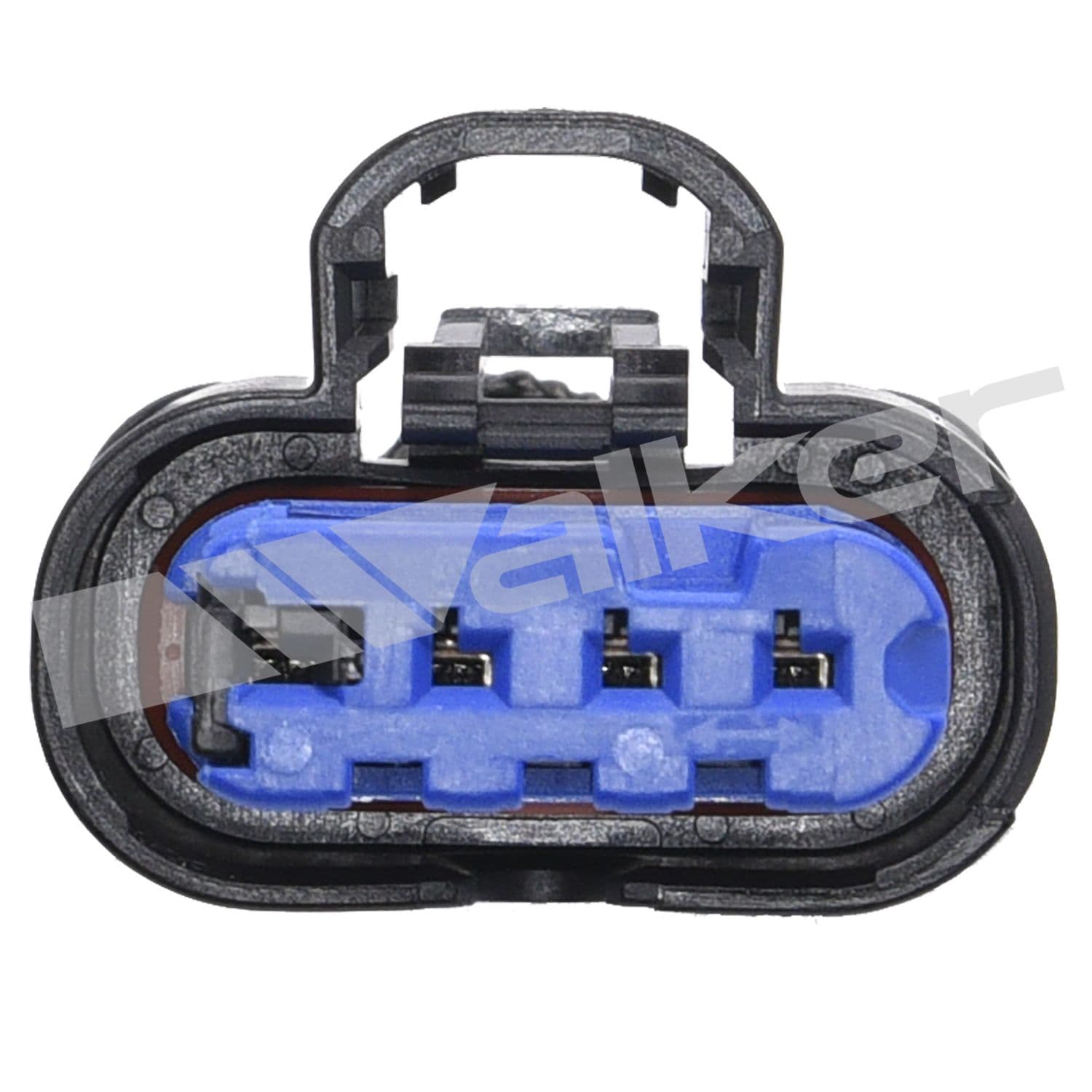 226-350-341081 - Image 2