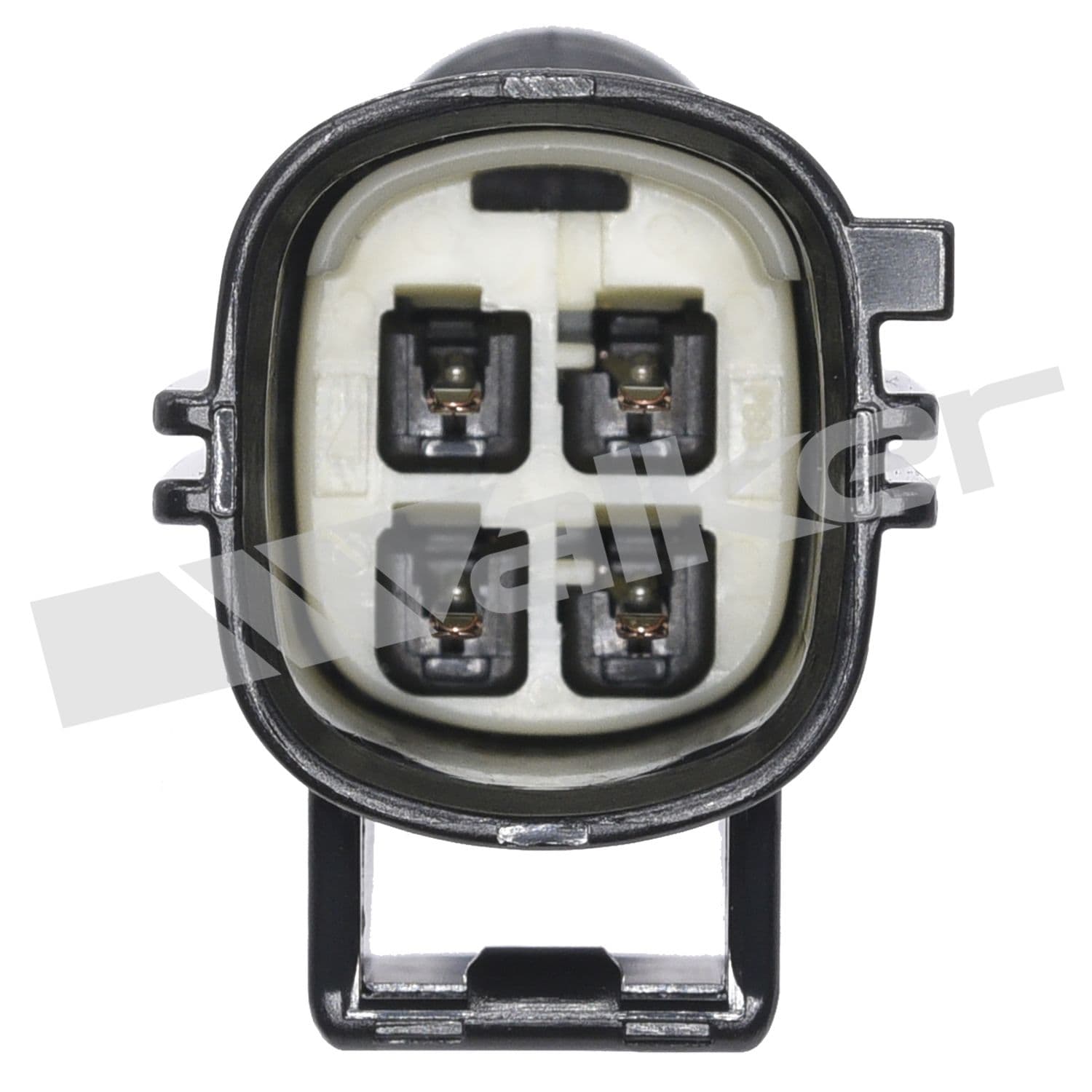 226-250-24678 - Image 3