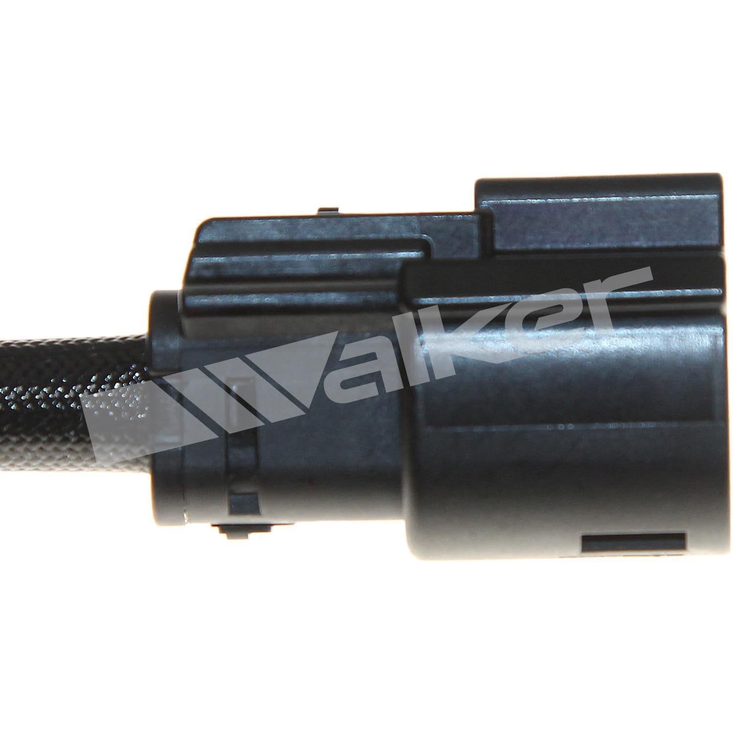 226-250-241186 - Image 3