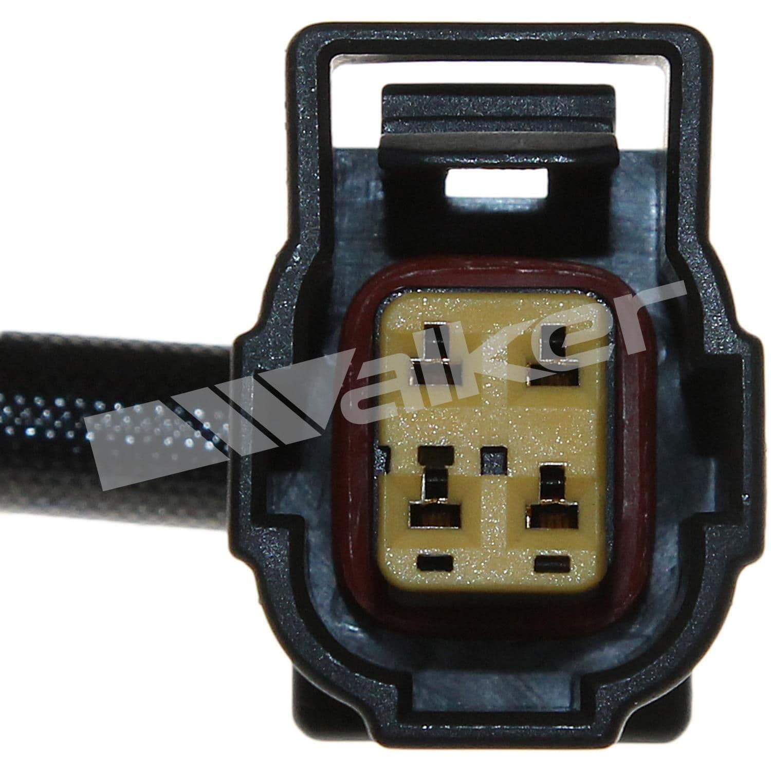 226-250-24251 - Image 3