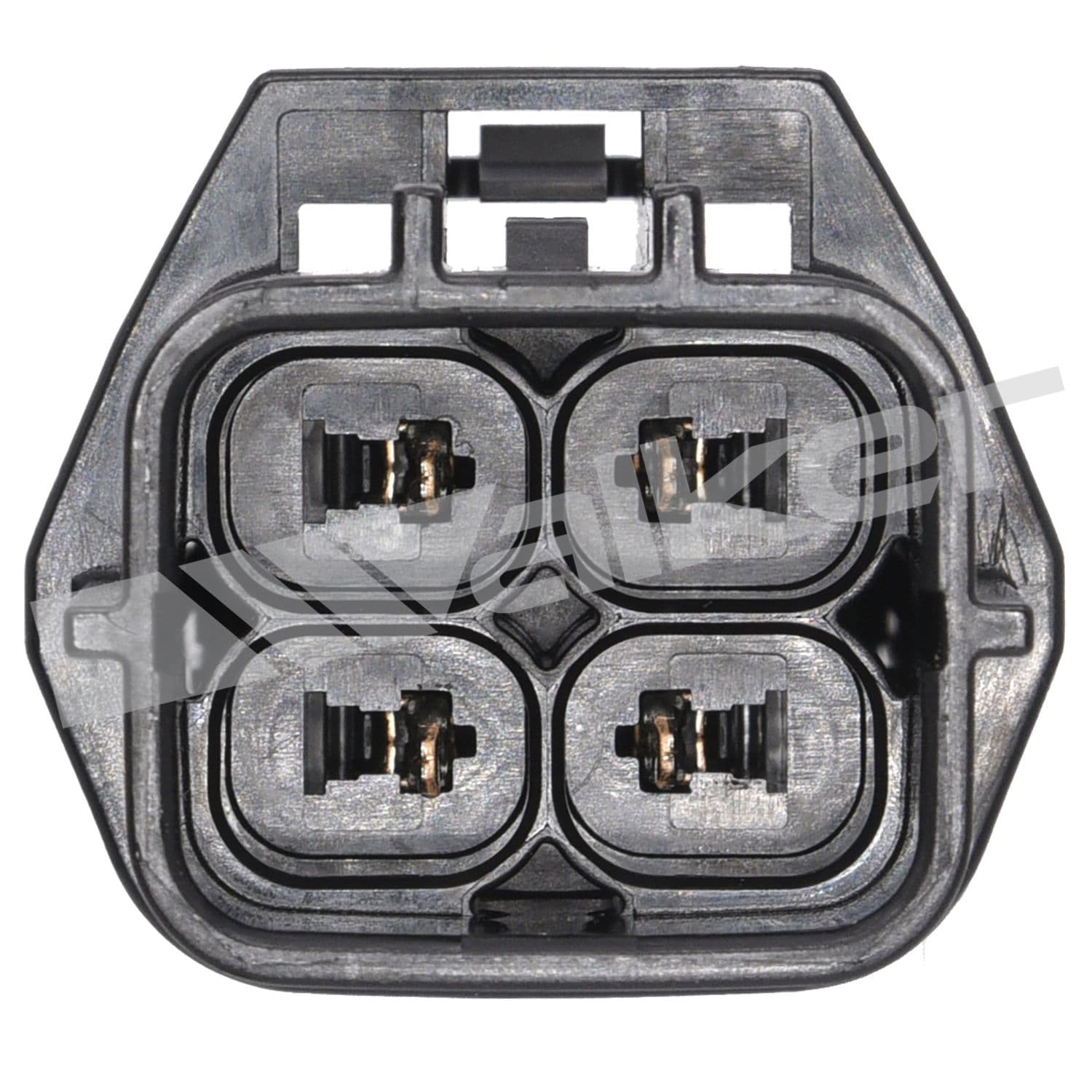 226-250-24436 - Image 4