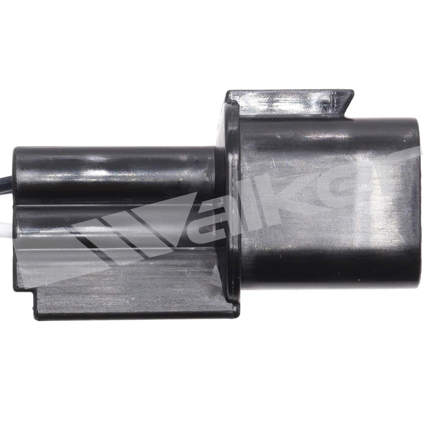 226-250-241298 - Image 2