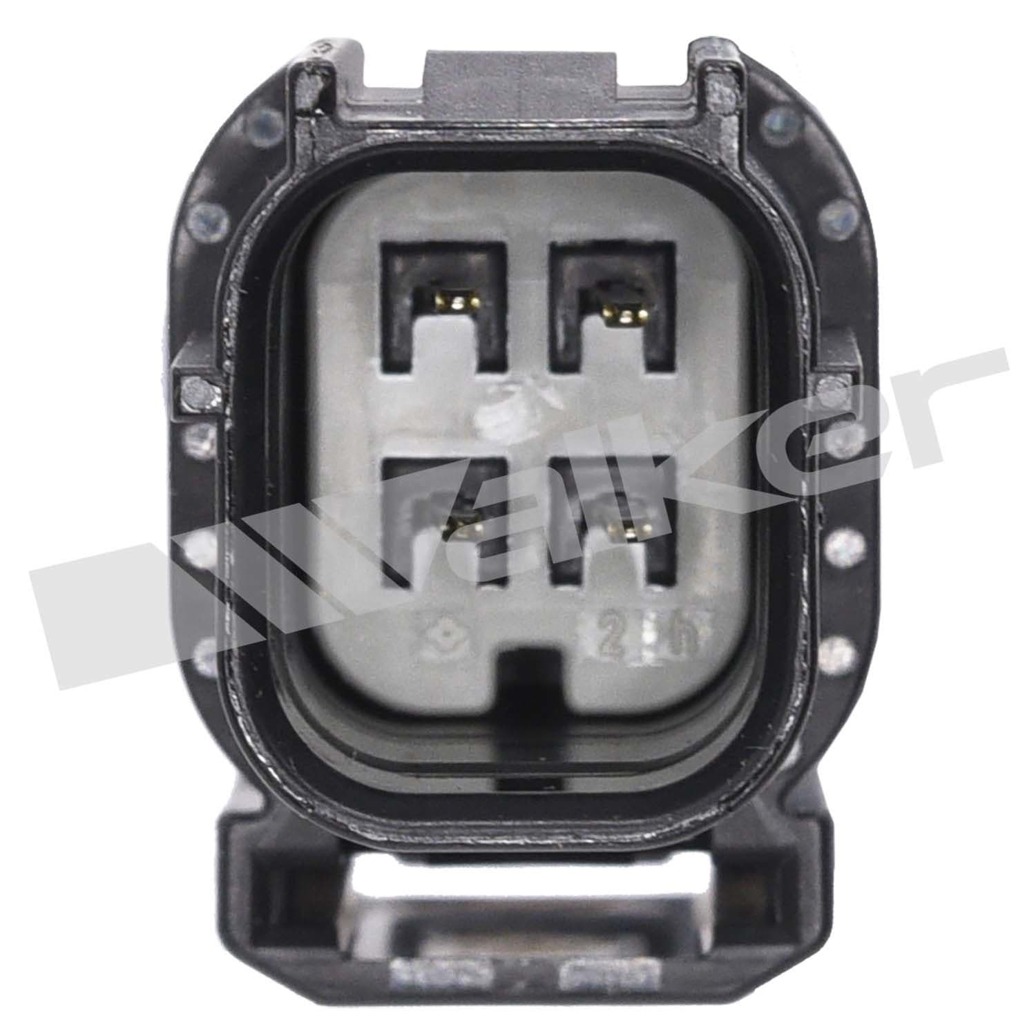 226-250-241256 - Image 2