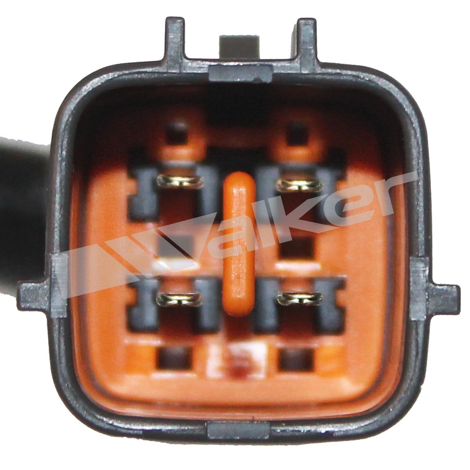 226-350-34538 - Image 4