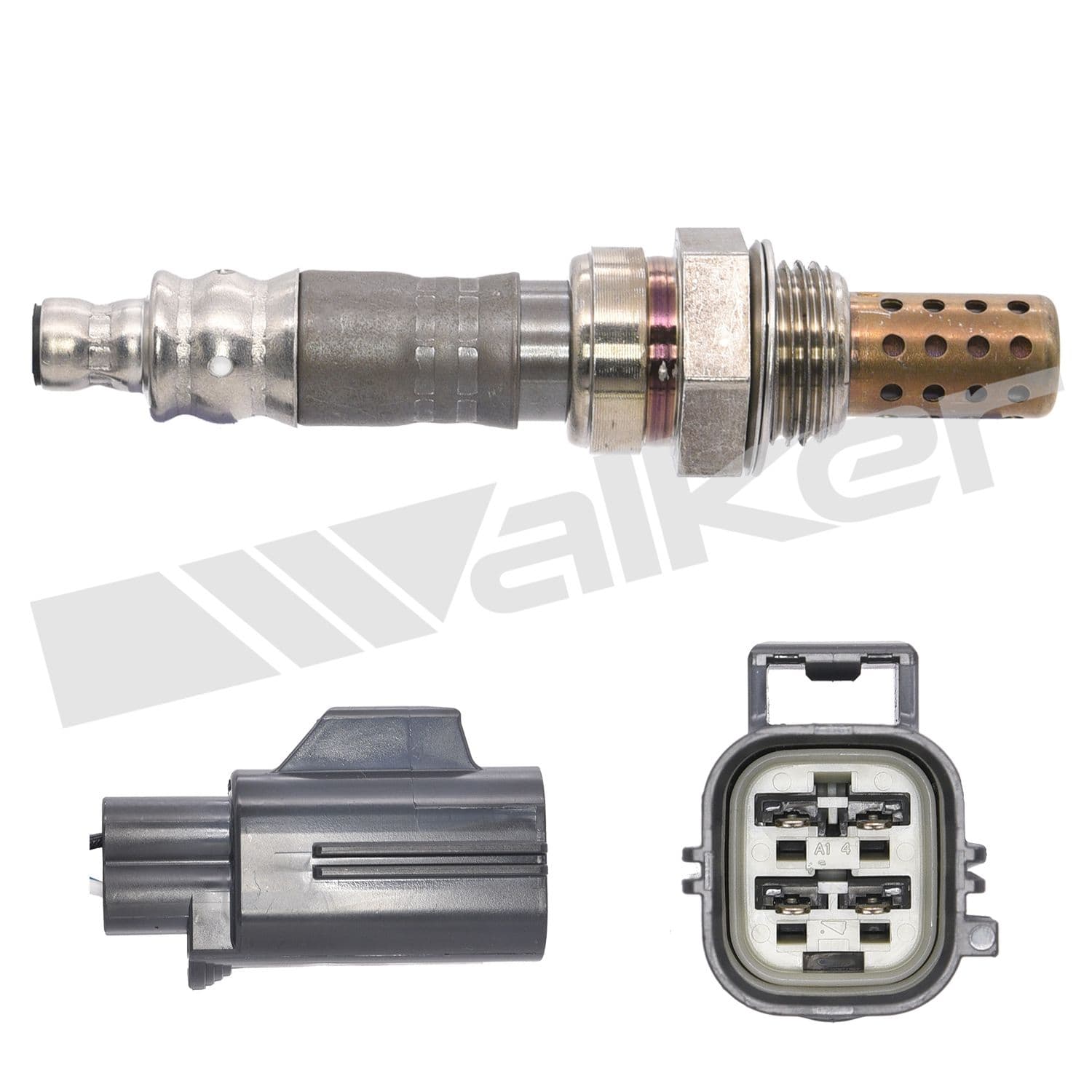 226-250-24509 - Image 4