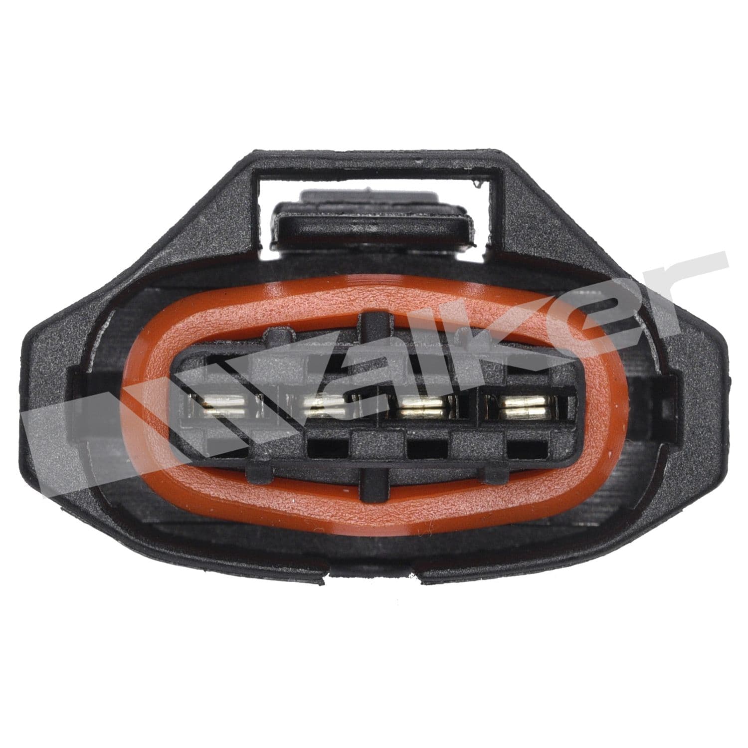 226-350-34685 - Image 4