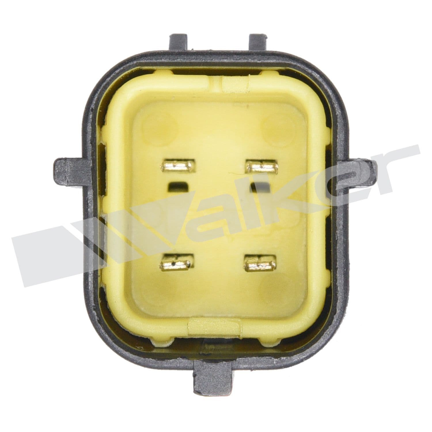 226-250-24771 - Image 4