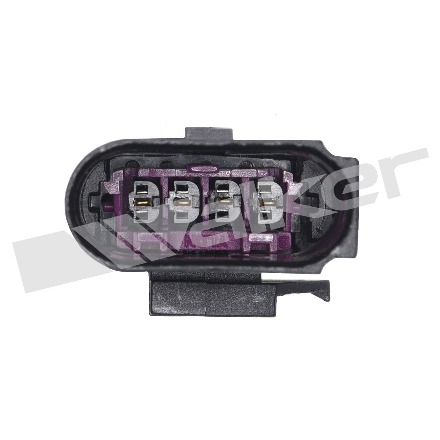 226-250-24953 - Image 3