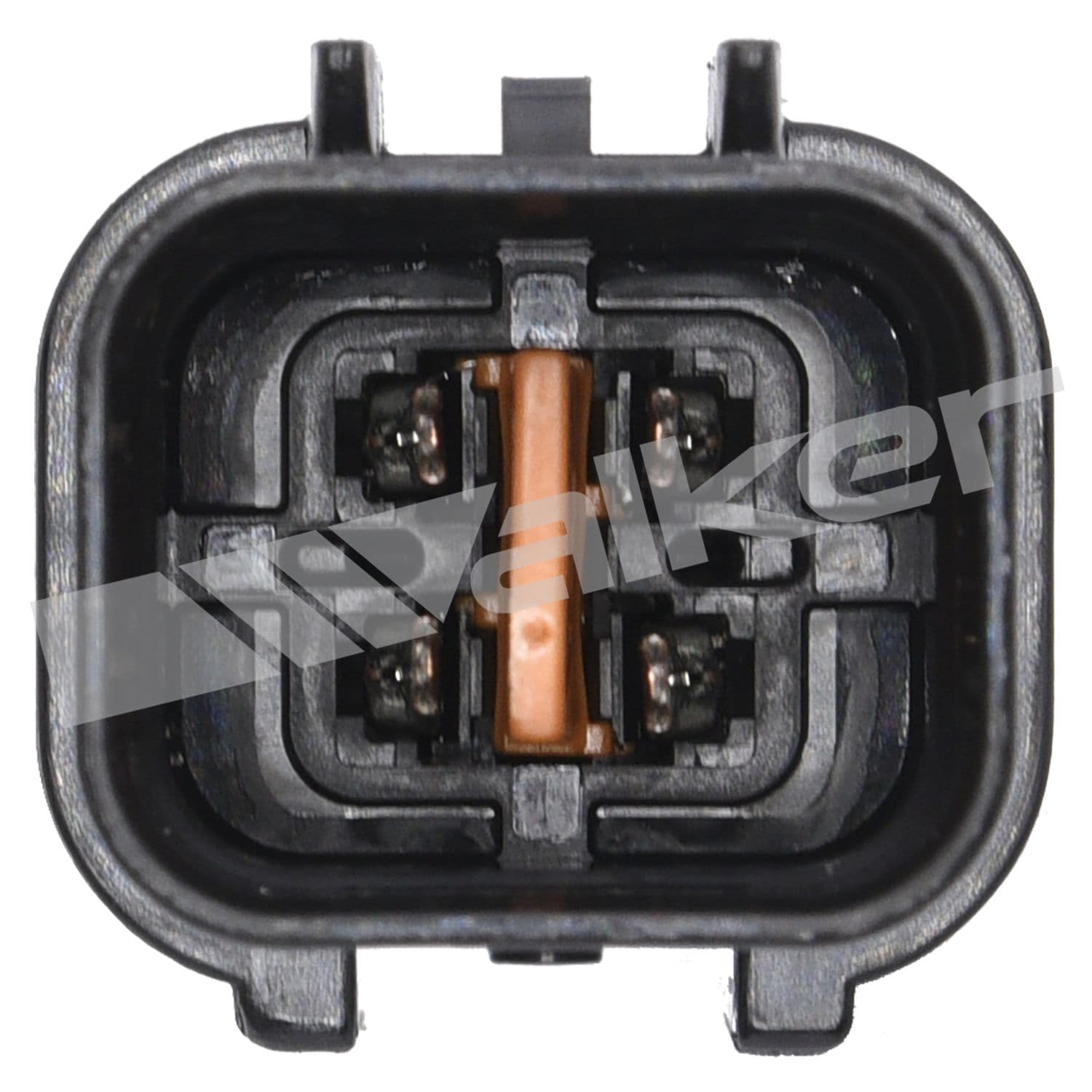 226-250-24462 - Image 2