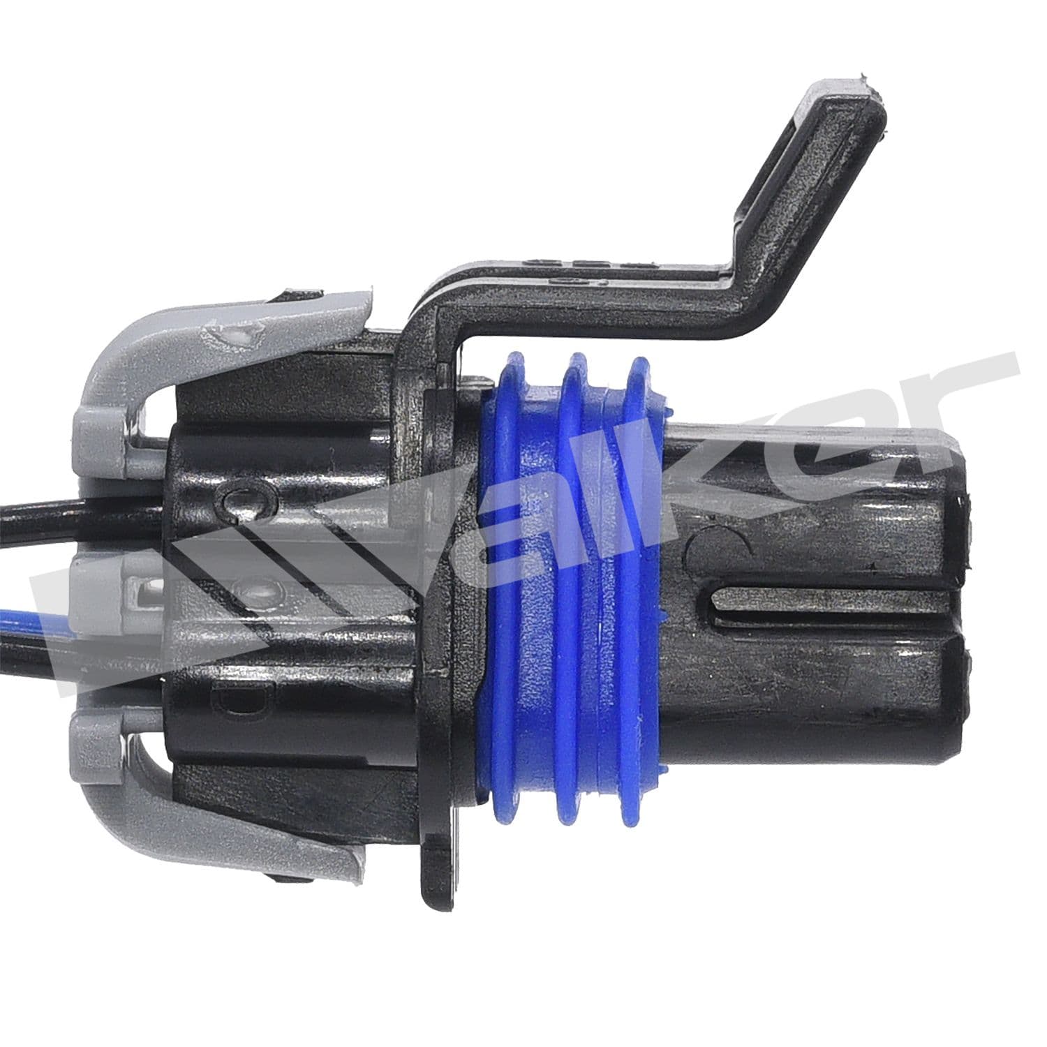 226-250-24703 - Image 2