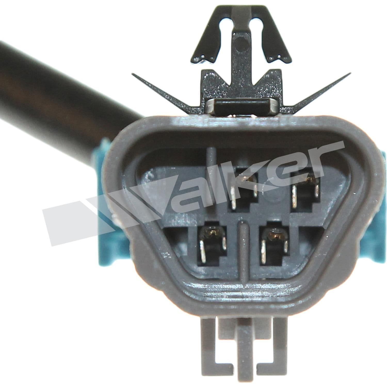 226-250-241189 - Image 4