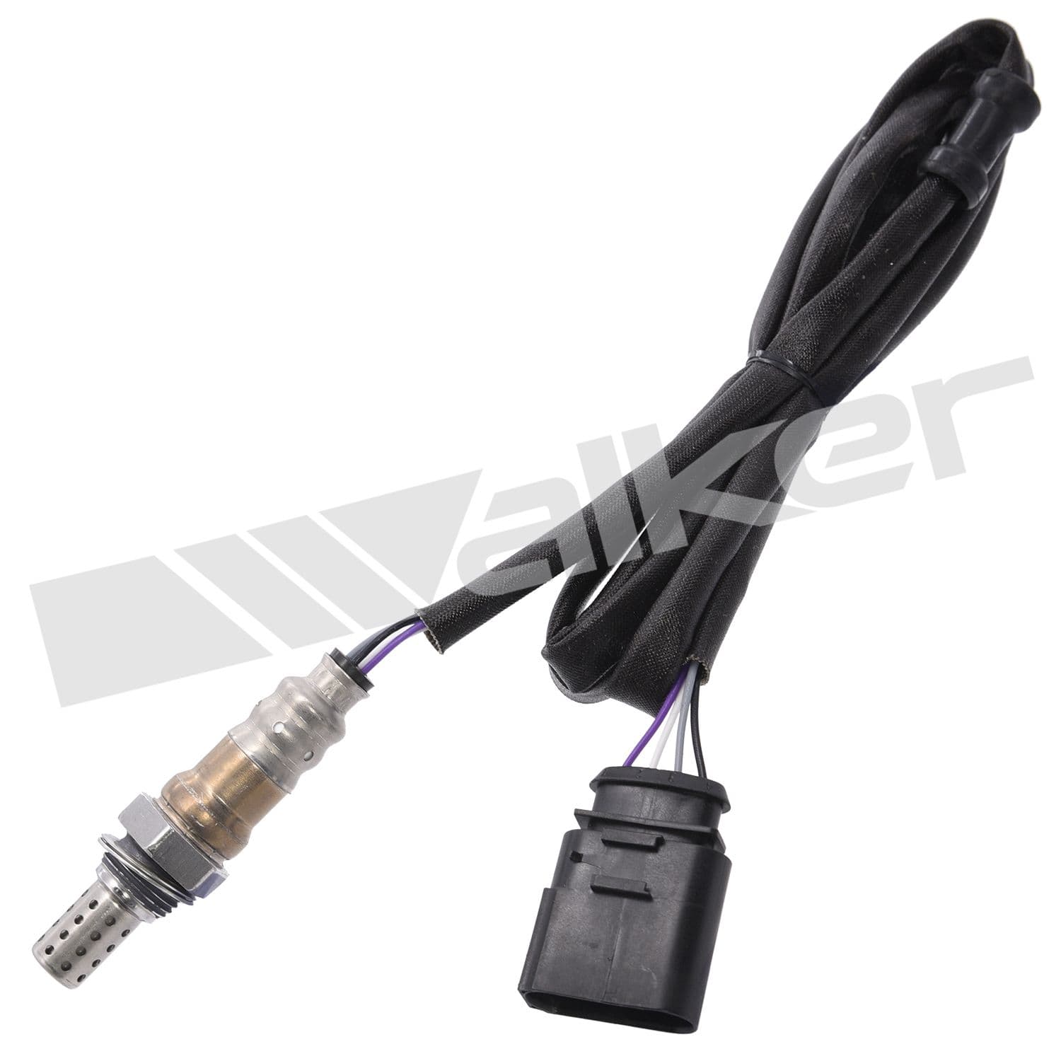 226-250-24493 - Image 1