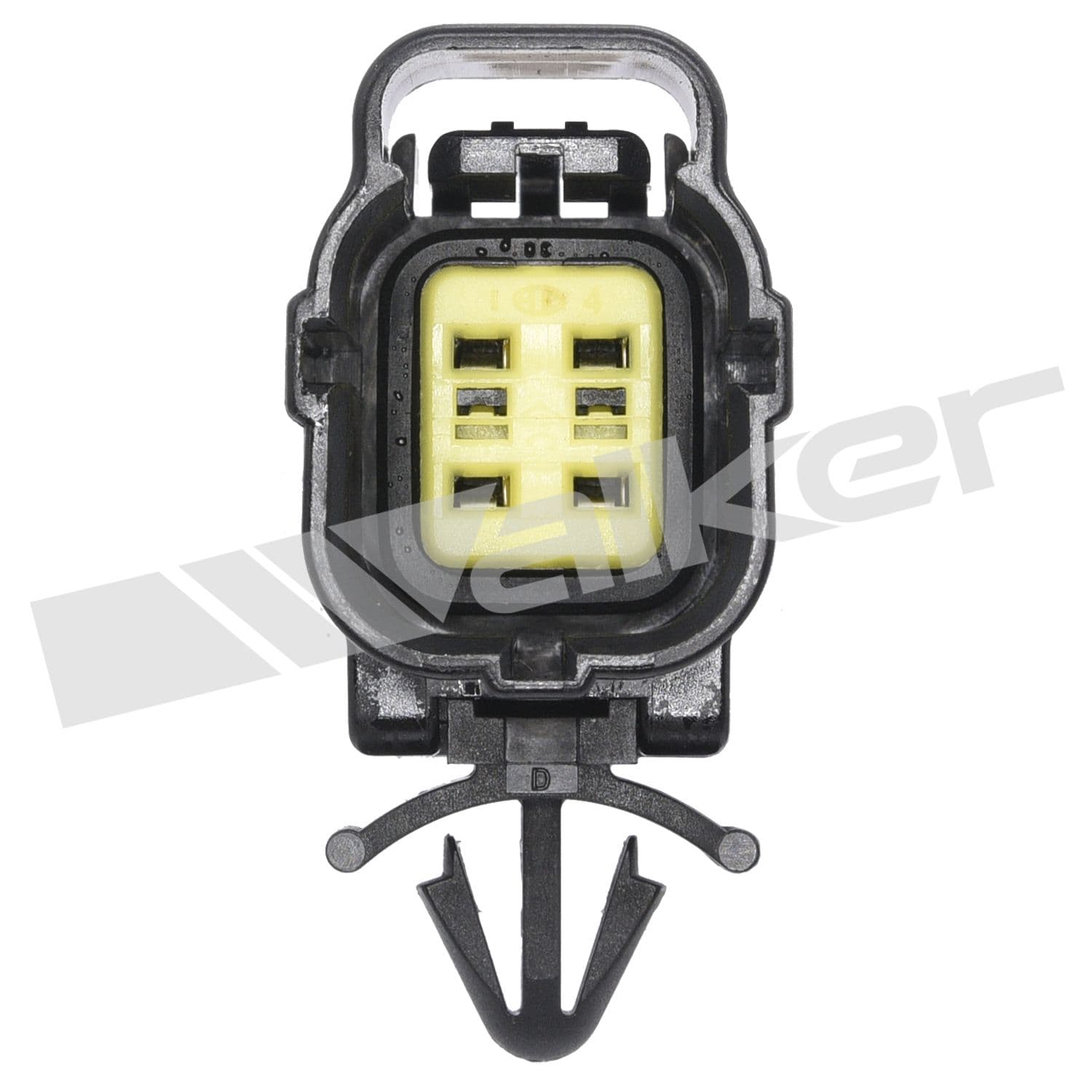 226-250-24629 - Image 2