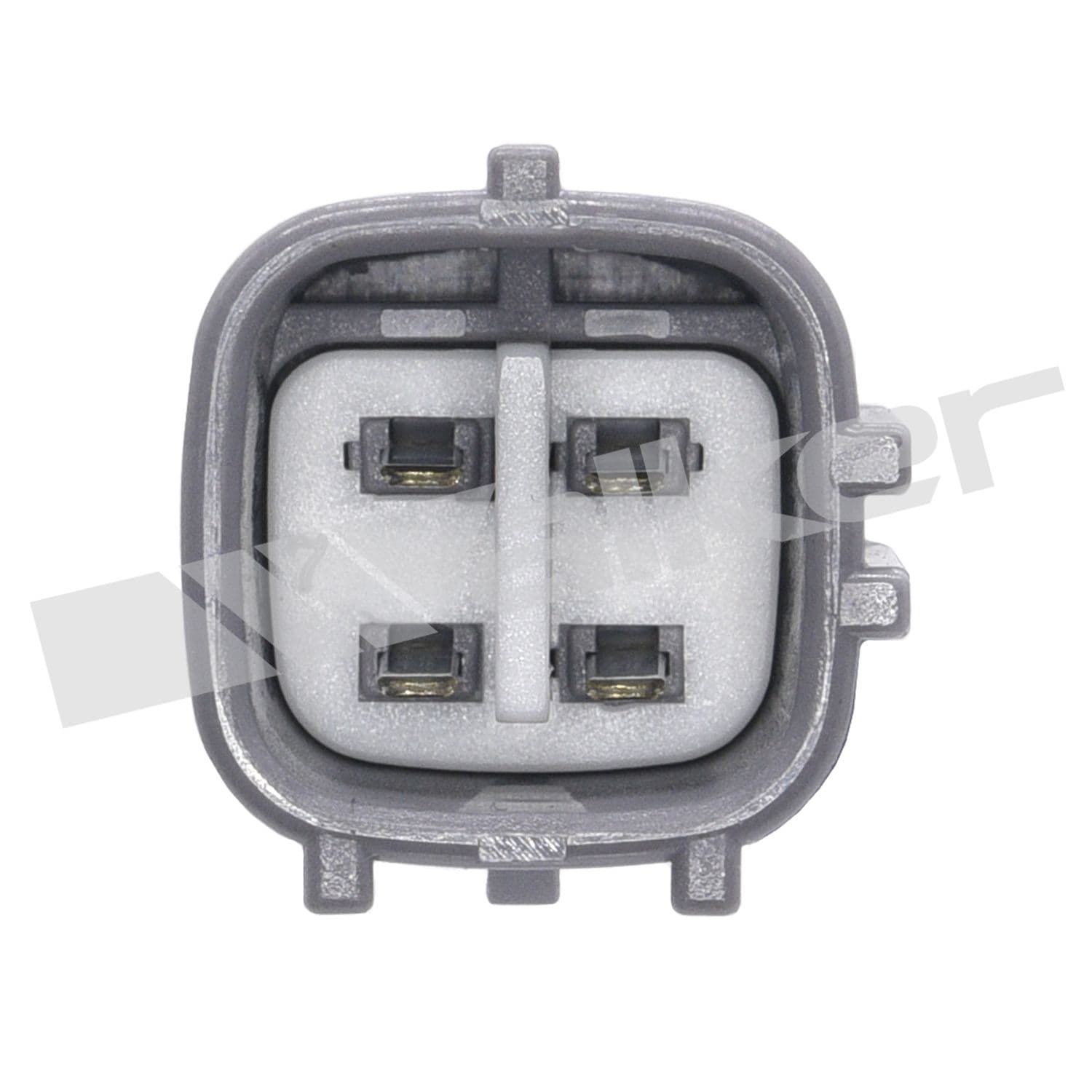 226-250-54004 - Image 3