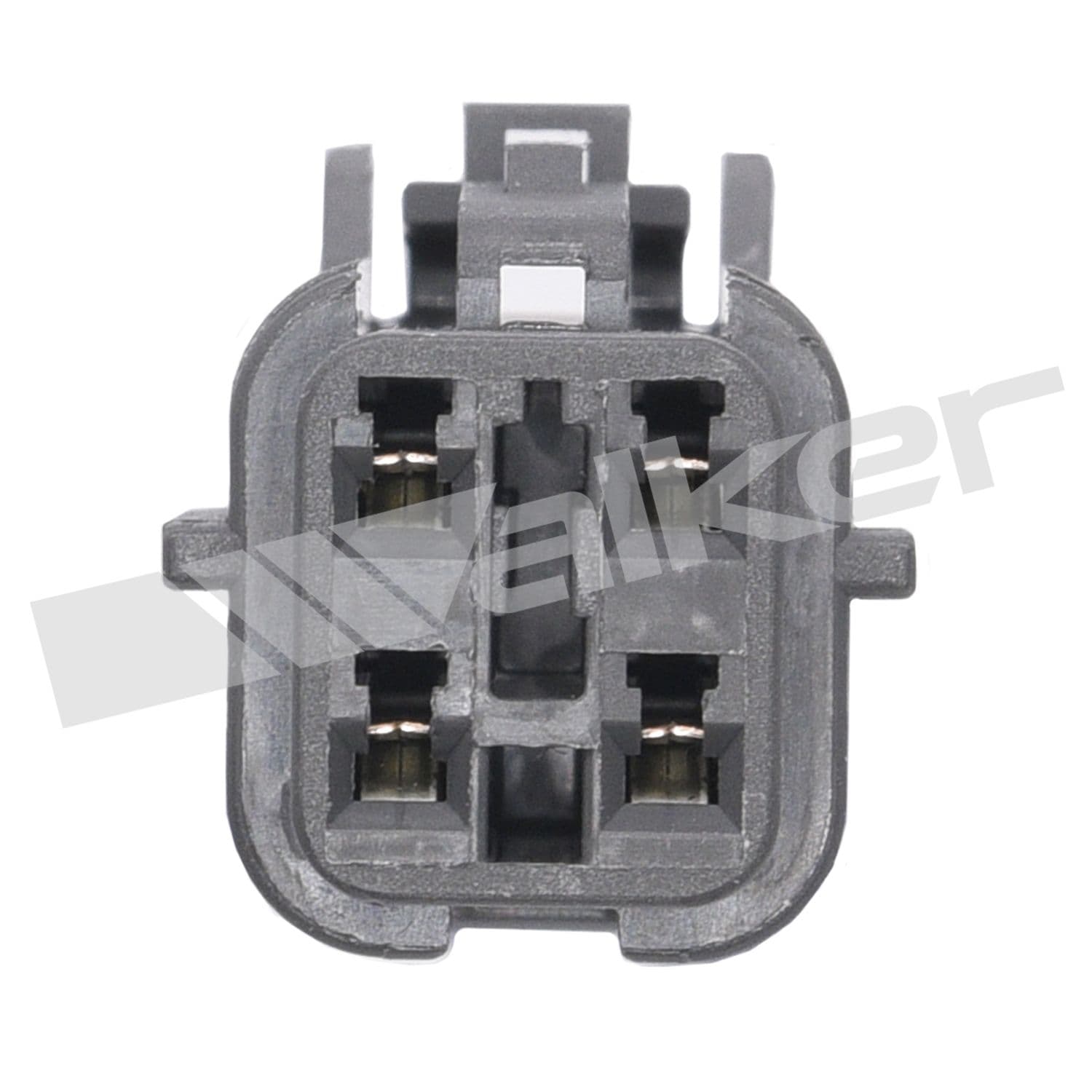 226-250-241149 - Image 2