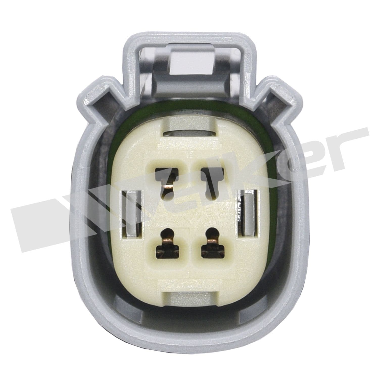 226-250-241221 - Image 3