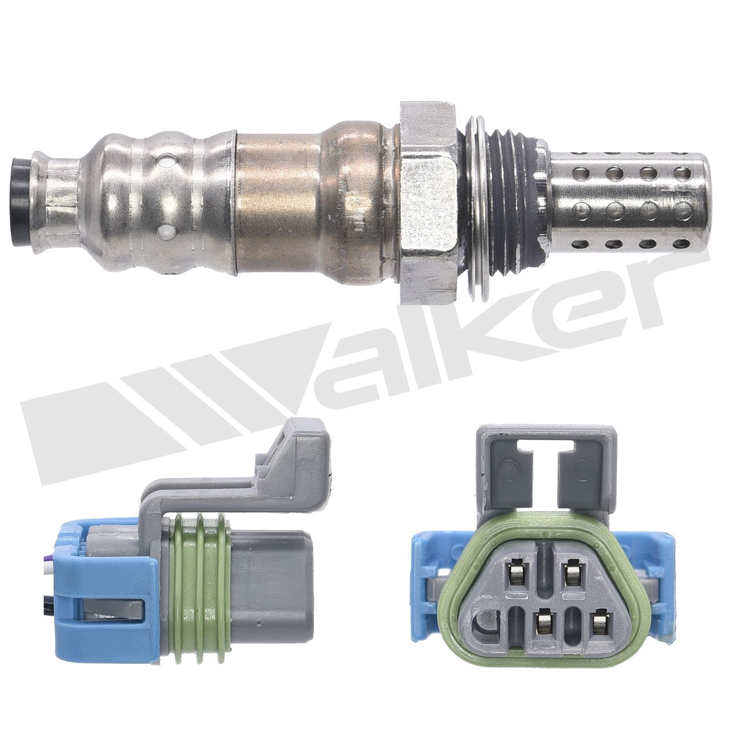 226-250-24869 - Image 2