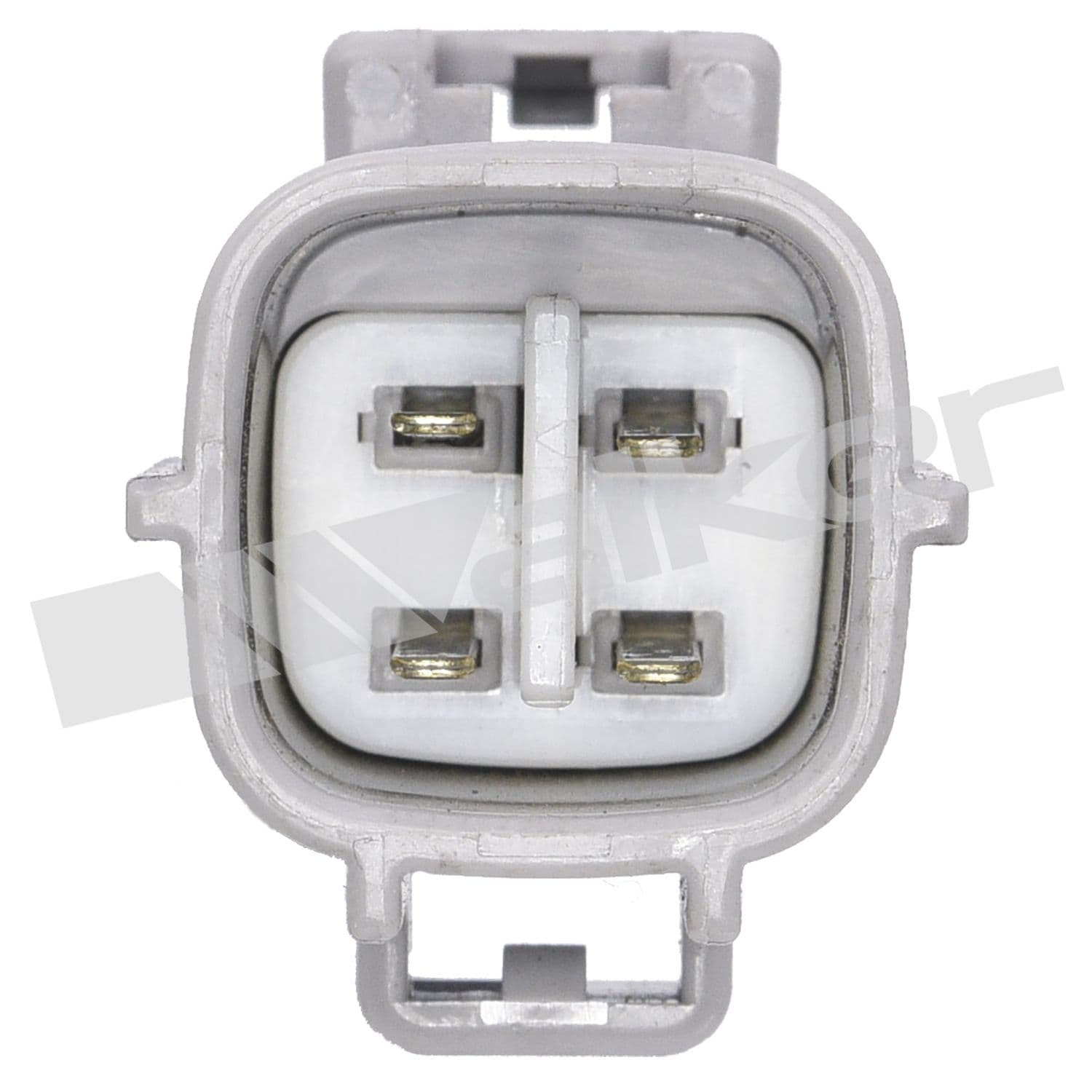 226-250-24485 - Image 2