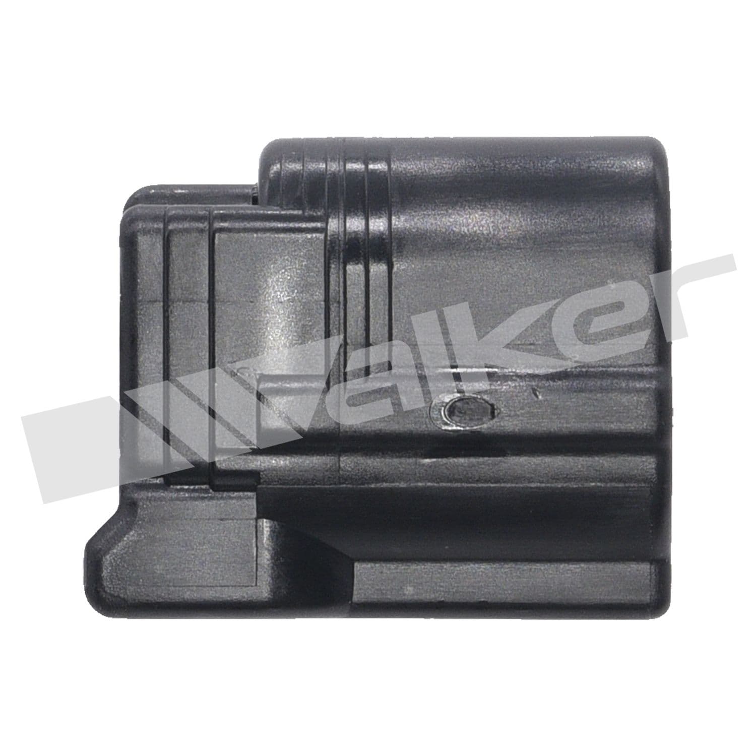 226-250-241208 - Image 3