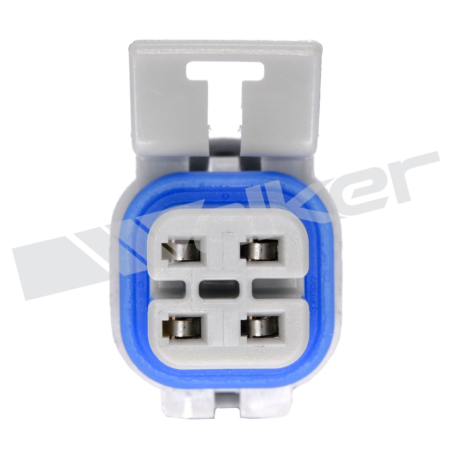 226-250-24736 - Image 2