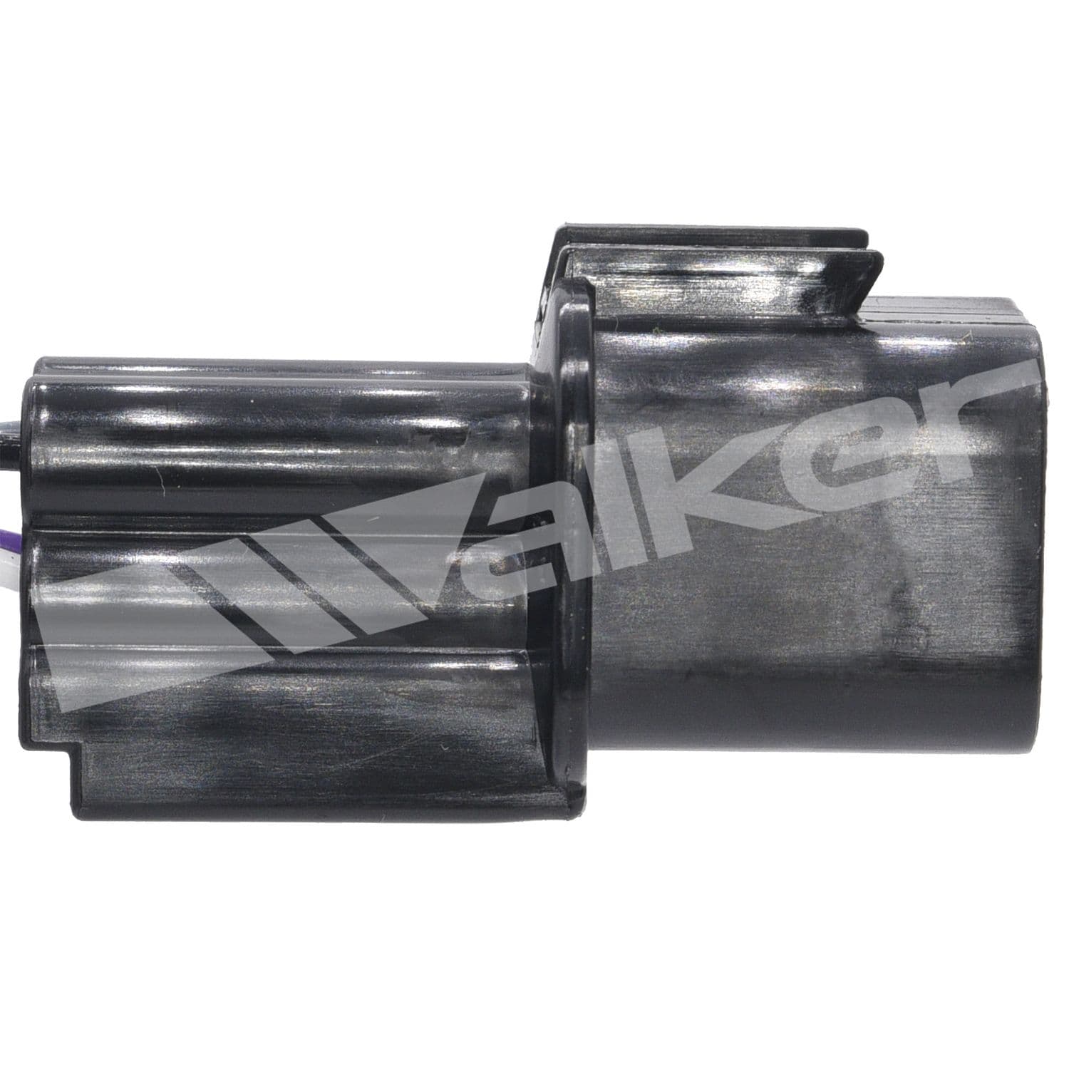 226-250-24779 - Image 2