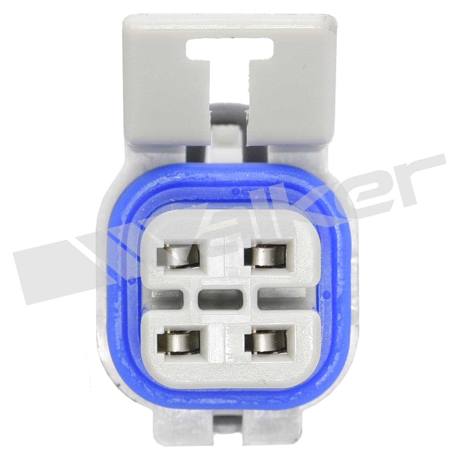 226-250-24488 - Image 2